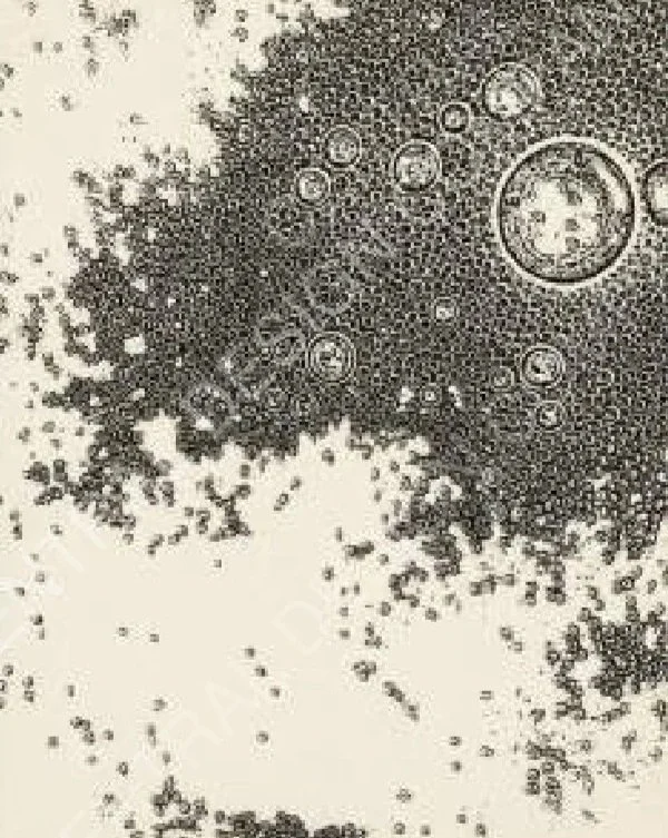 CENTRAL-ART+PRINT-RESONANCE-E.jpg