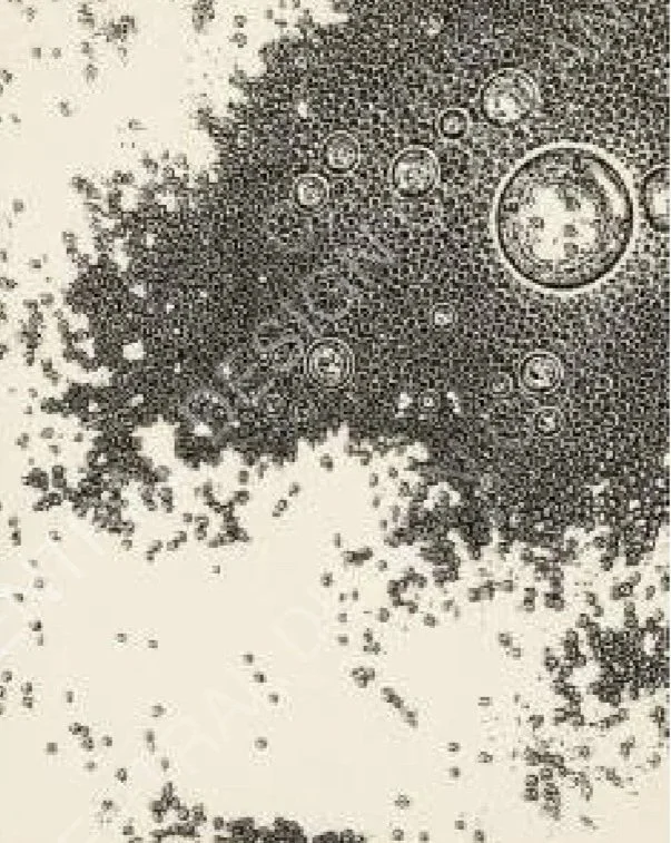 CENTRAL-ART+PRINT-RESONANCE-E.jpg