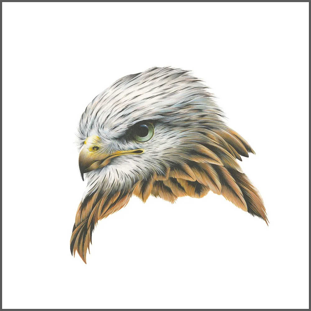 red_kite_print.jpg