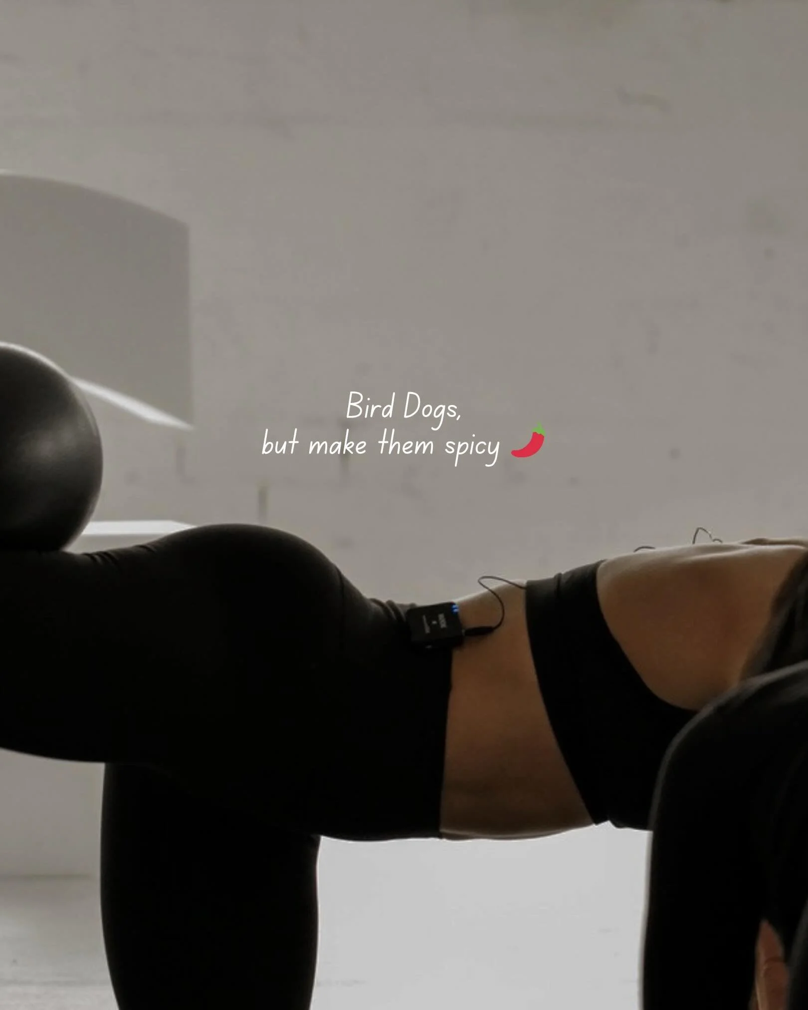 You can do CORE exercises all day every day, BUT if your pressure strategy, posture and form are off&hellip;the exercise can become pretty redundant.

That said, we see mamas get bored of the traditional Bird Dog all the time 👀

So instead of treati