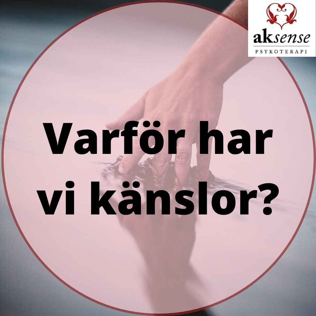 Varf&ouml;r har vi k&auml;nslor?
K&auml;nslor &auml;r v&auml;gvisare f&ouml;r v&aring;ra behov &ndash; K&auml;nslor signalerar vad vi beh&ouml;ver och vad som &auml;r viktigt f&ouml;r oss. Till exempel visar sorg att vi beh&ouml;ver tr&ouml;st, och i