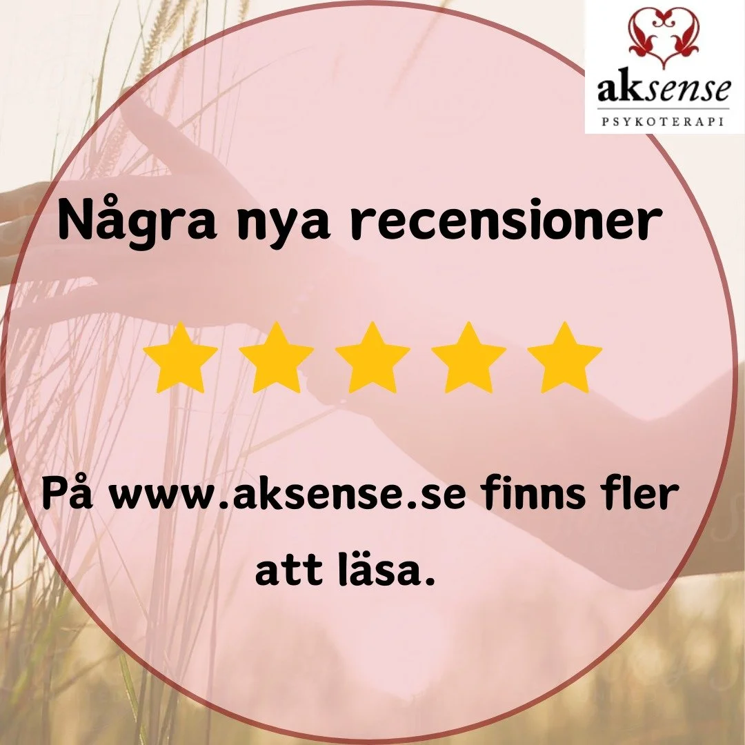 Det kr&auml;vs mod att be om att f&aring; en recension. N&auml;r jag f&aring;r dem blir jag alltid lika r&ouml;rd och glad. Nedan kan du l&auml;sa hela Fabians recension. 

&rdquo;Jag gick en dag i veckan i &aring;tta m&aring;nader p&aring; KBT-terap