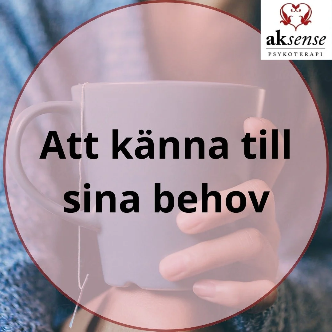 Har du funderat &ouml;ver vilka behov som verkligen &auml;r viktiga f&ouml;r dig? N&auml;r du k&auml;nner till dina behov blir det l&auml;ttare att f&ouml;rst&aring; dig sj&auml;lv, st&auml;rka din sj&auml;lvk&auml;nsla och g&ouml;ra b&auml;ttre val 