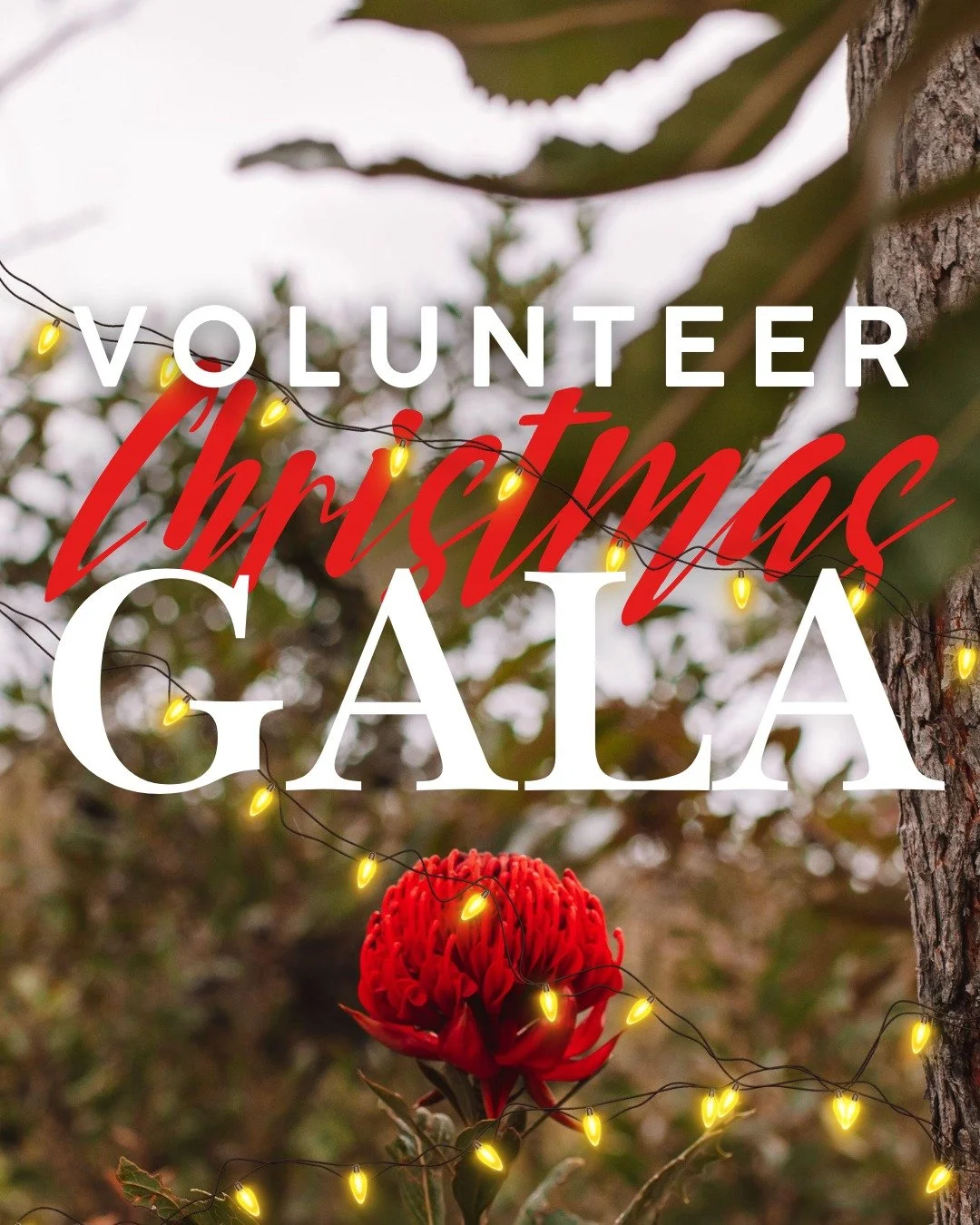 VOLUNTEERS! Check your emails and register if you haven't already! See you Sunday for an evening of fun. We're so grateful for how you serve others.