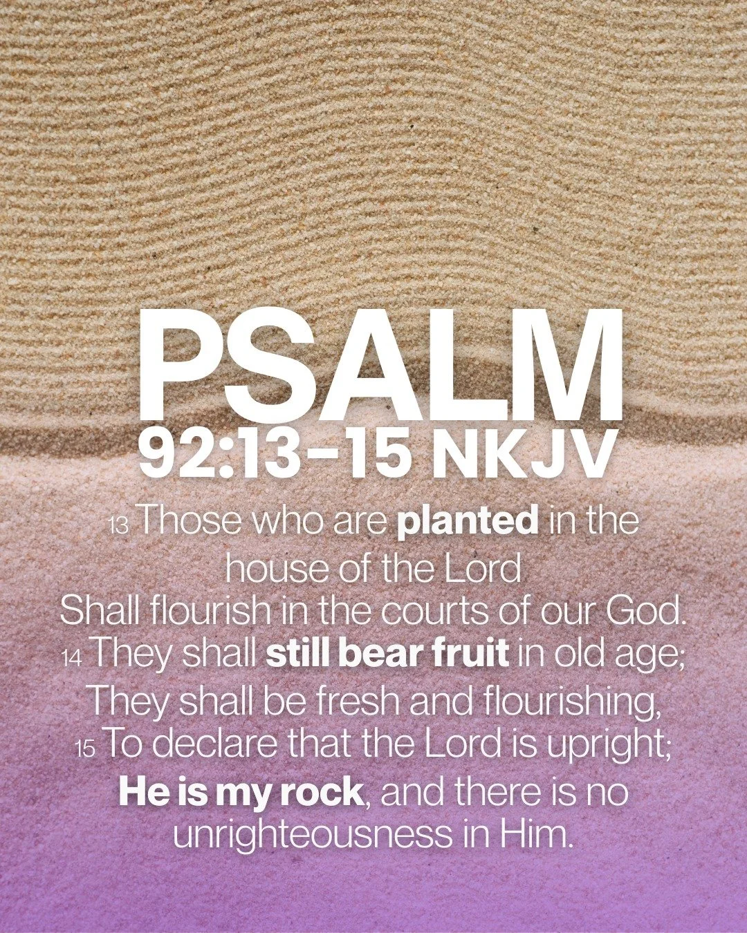 Say it for the LAST time this year! 👏🏼👏🏼👏🏼
See you tomorrow!