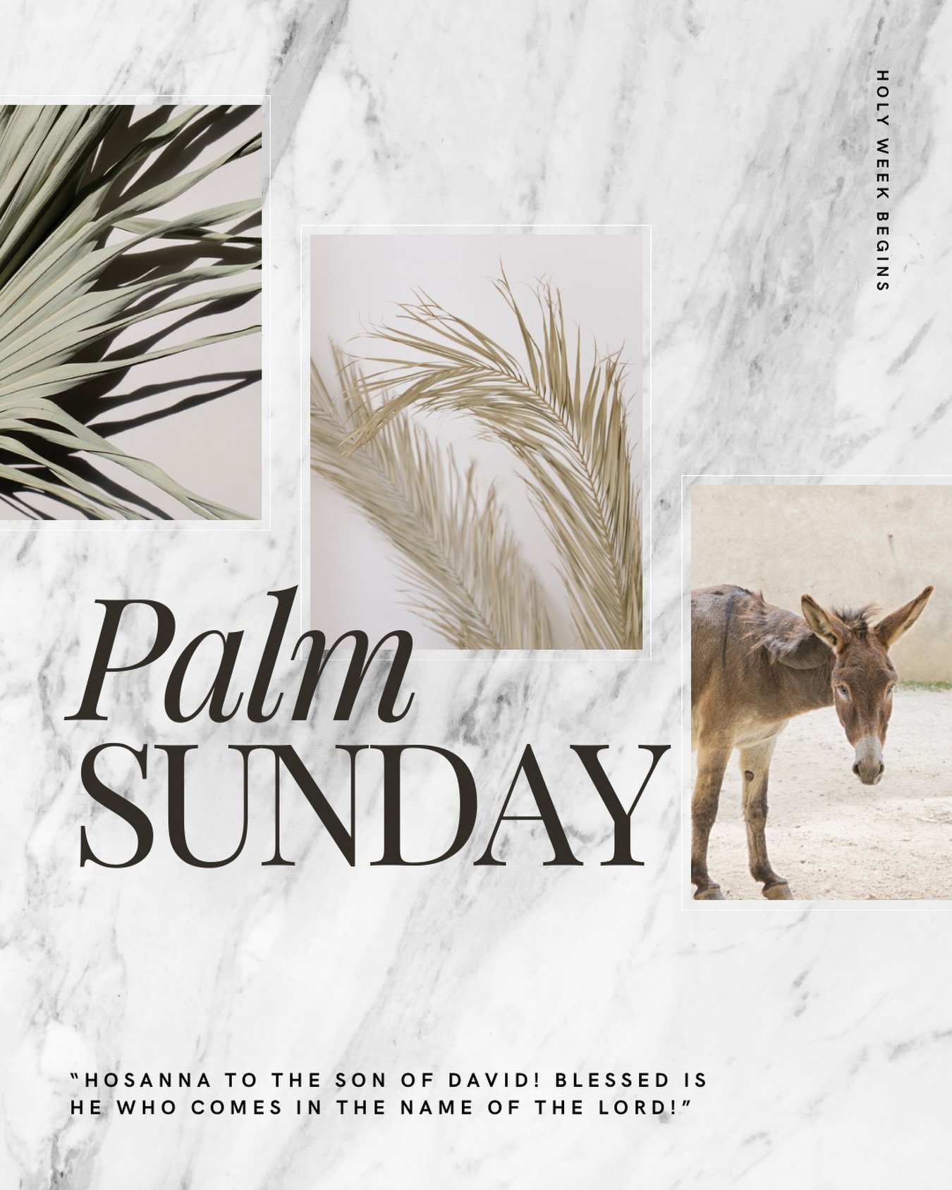 HOLY WEEK has begun! 
Read along with us each day. 
🌴
&ldquo;They brought the donkey and the colt and placed their cloaks on them for Jesus to sit on. A very large crowd spread their cloaks on the road, while others cut branches from the trees and s