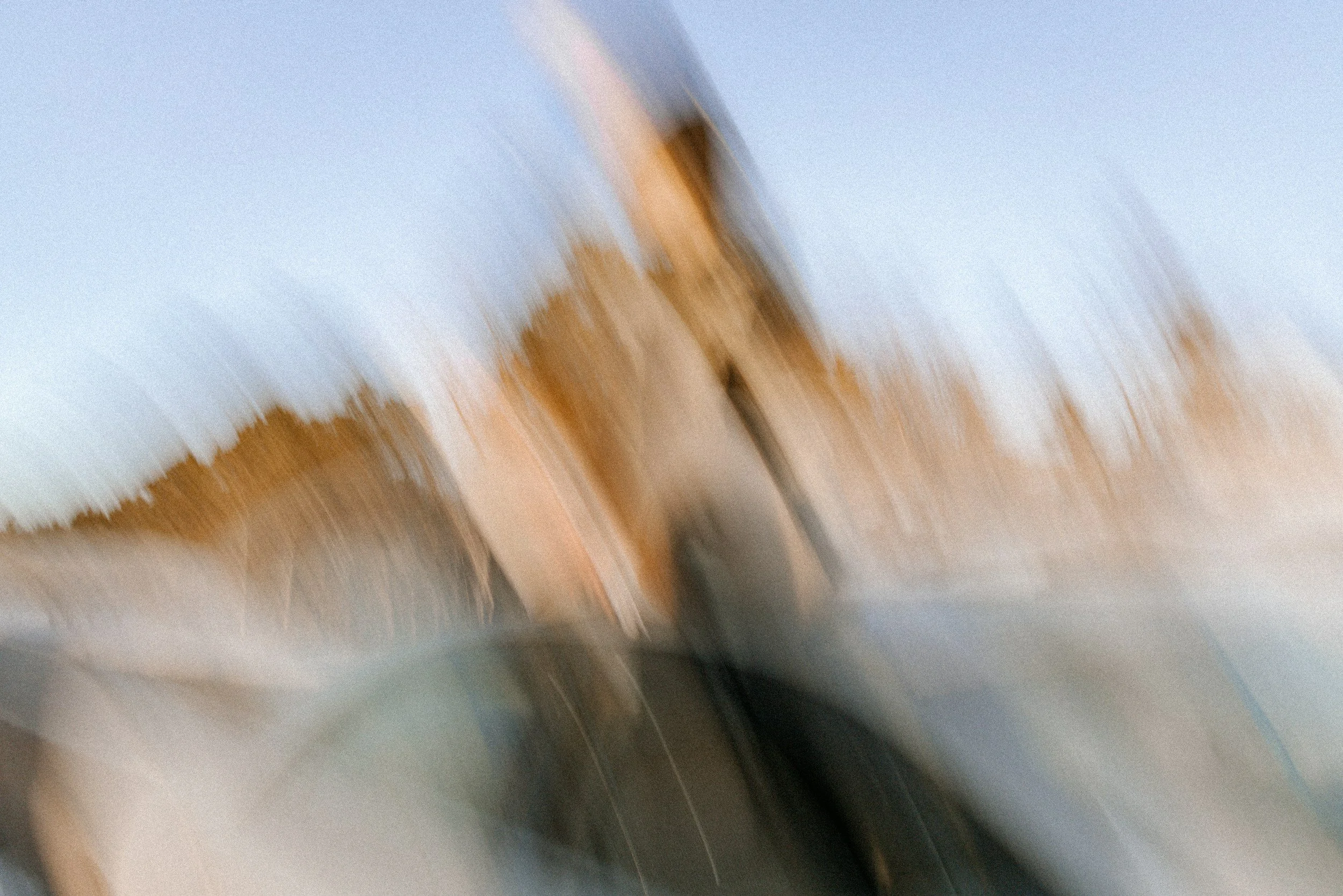 unsplash-image-EIMwMLyymC0.jpg