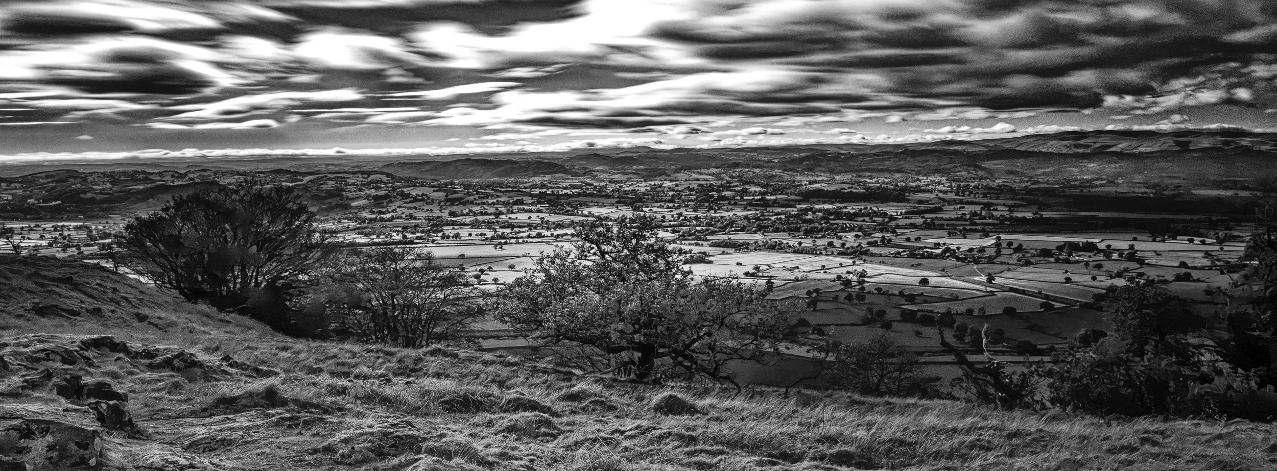 Moody Autumnal Monochrome MAM