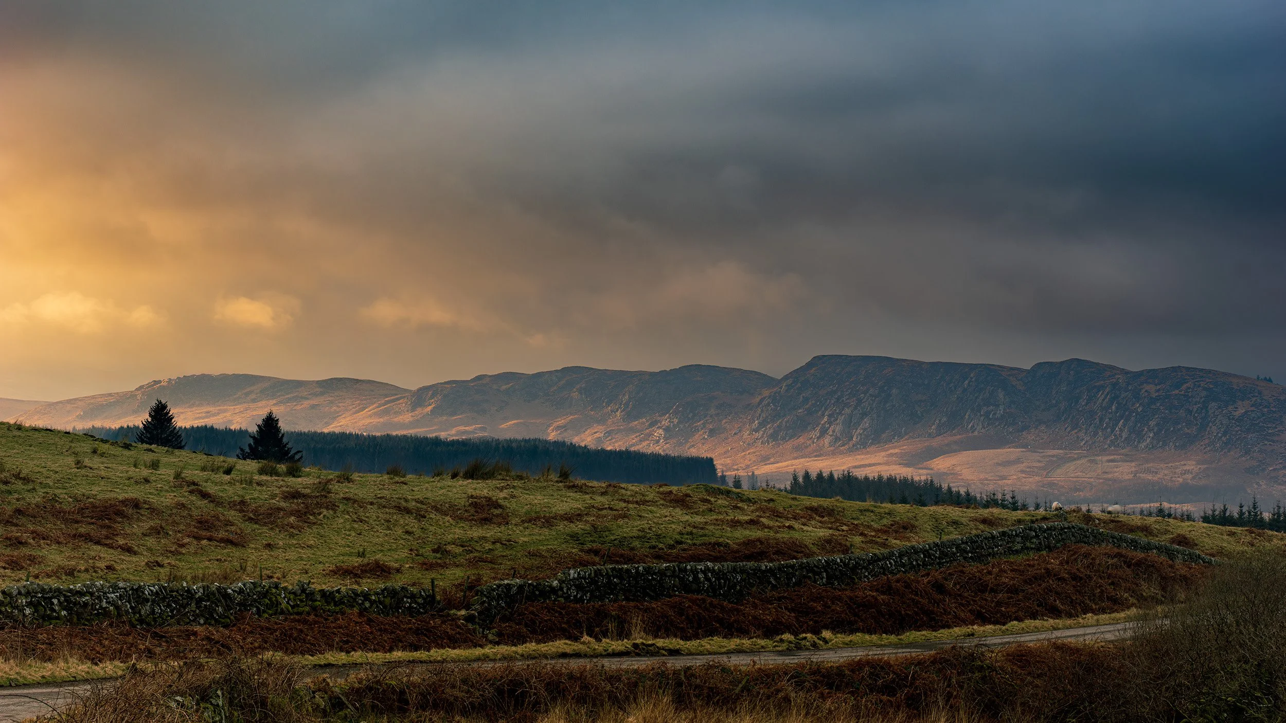 A Borders Sunset ABS