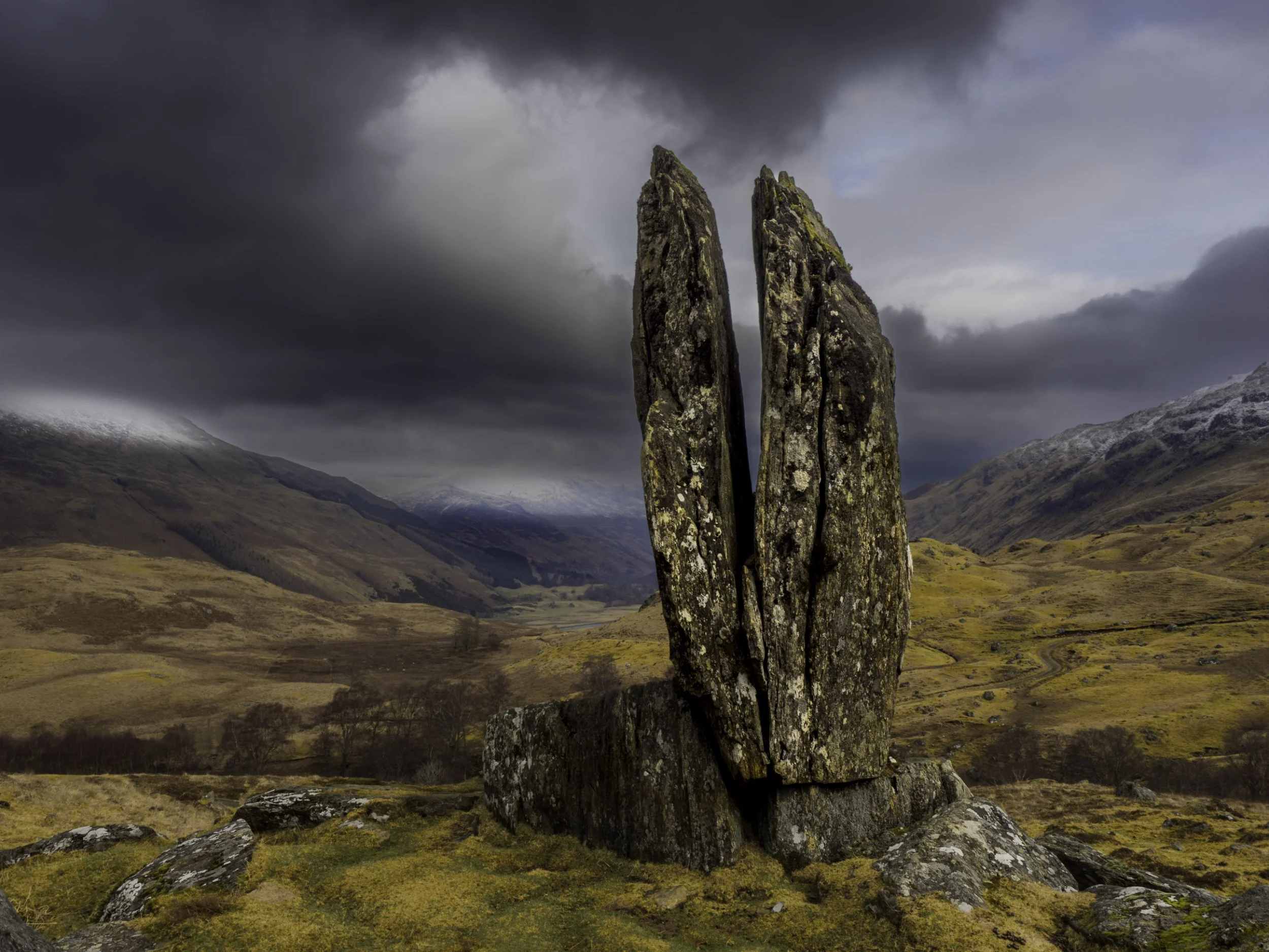 Praying Hands  O'Mary PHO
