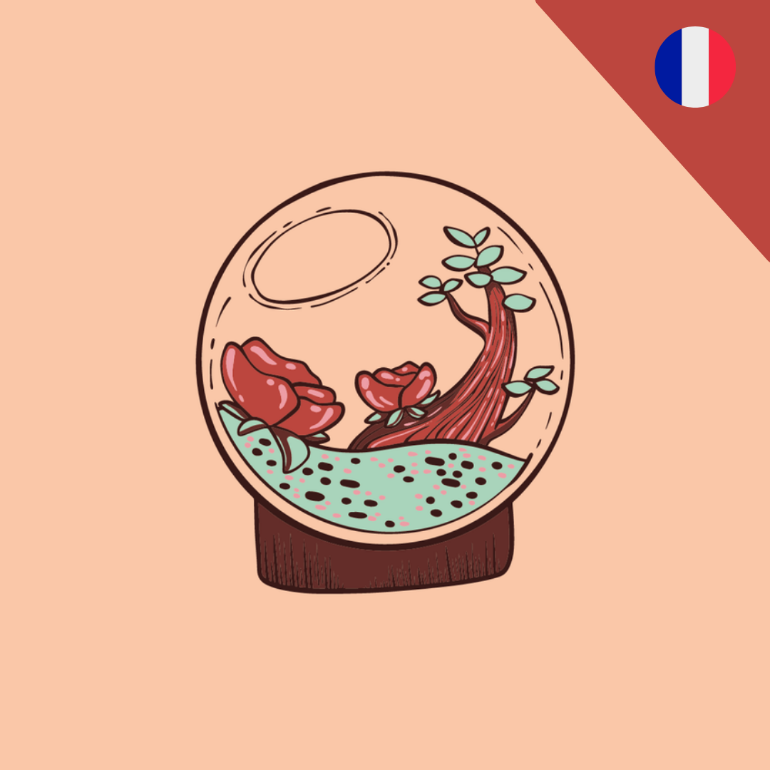 Atelier DIY de Fabrication de Terrarium