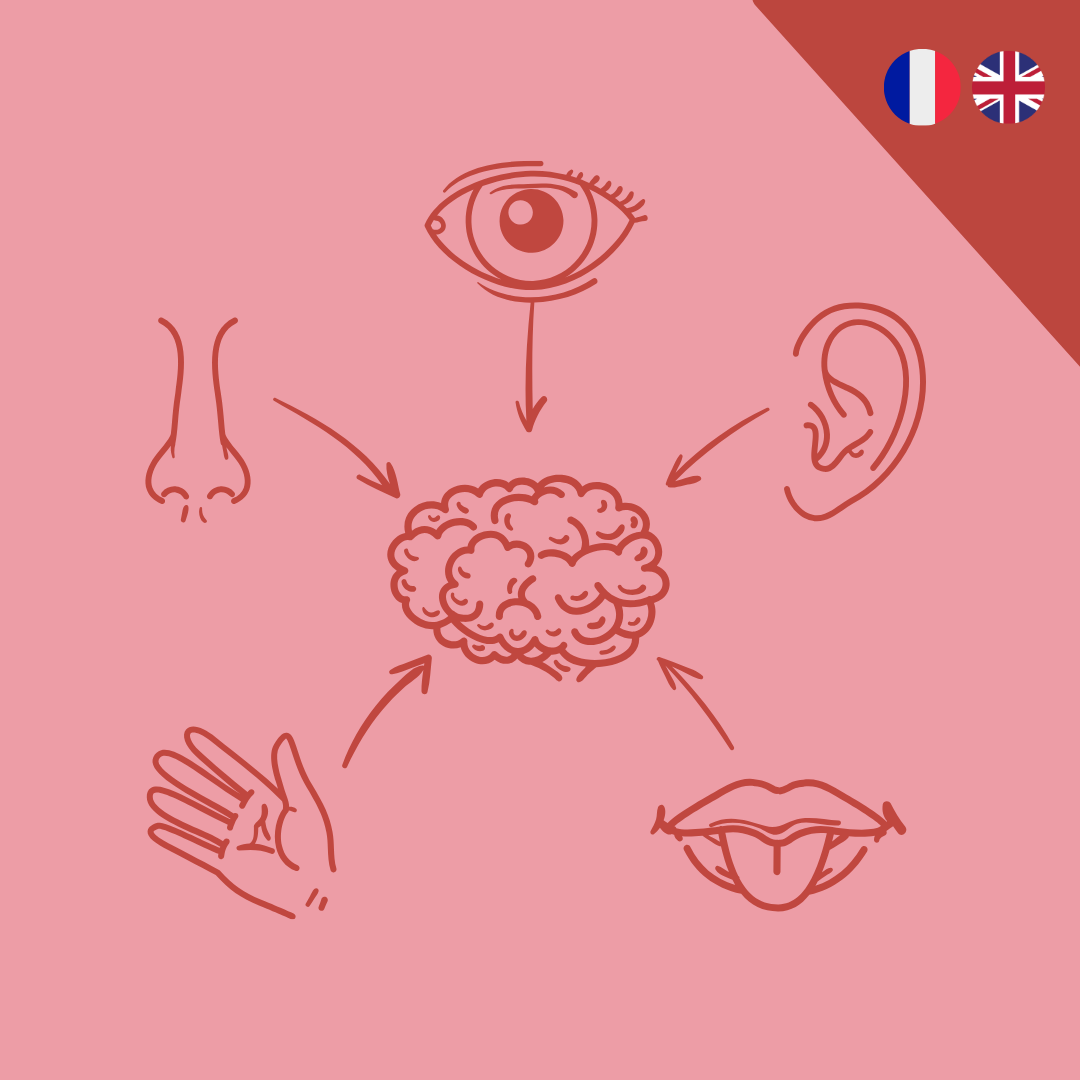 Se reconnecter à ses sens grâce à la méditation 