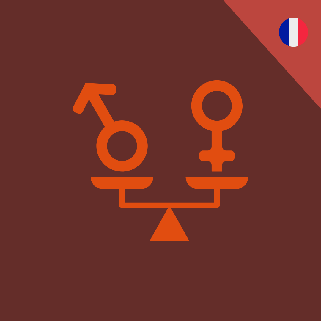 Violences Sexistes et Sexuelles Terrain