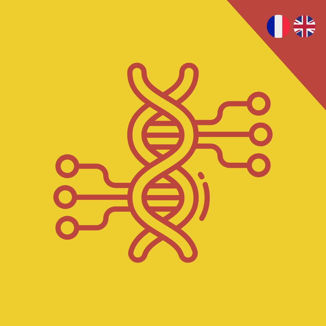 Intégrer l’IA dans son organisation