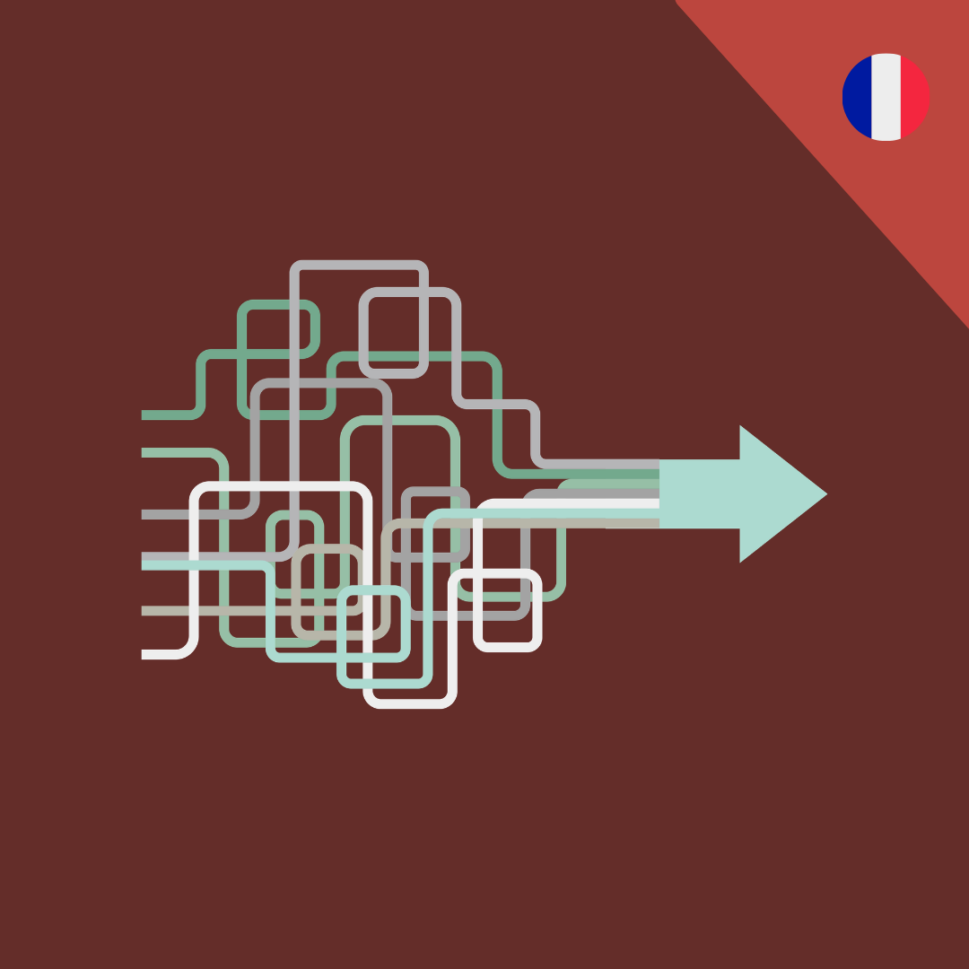 La Fresque du handicap en emploi