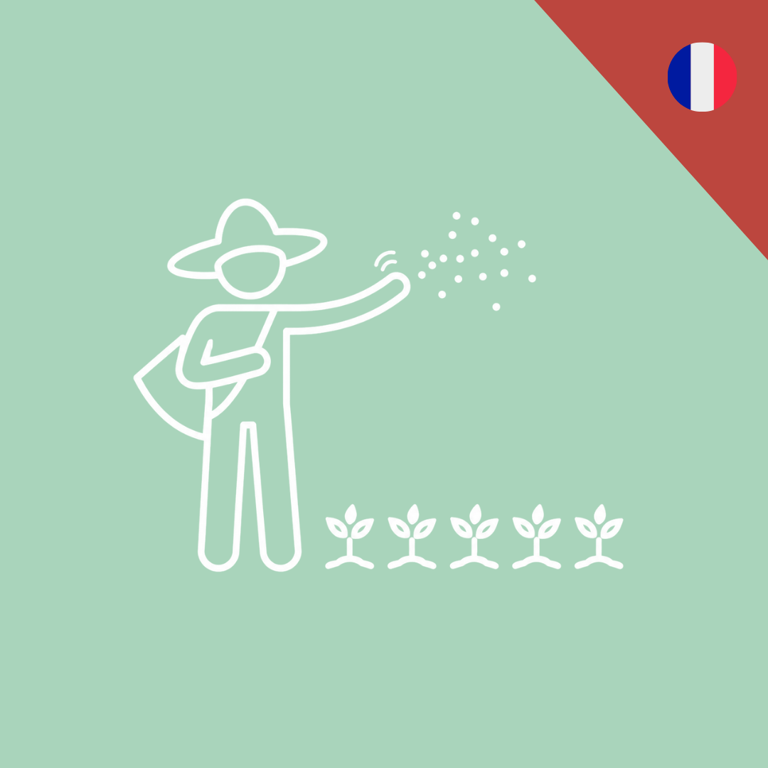 Initiation à l'agriculture urbaine