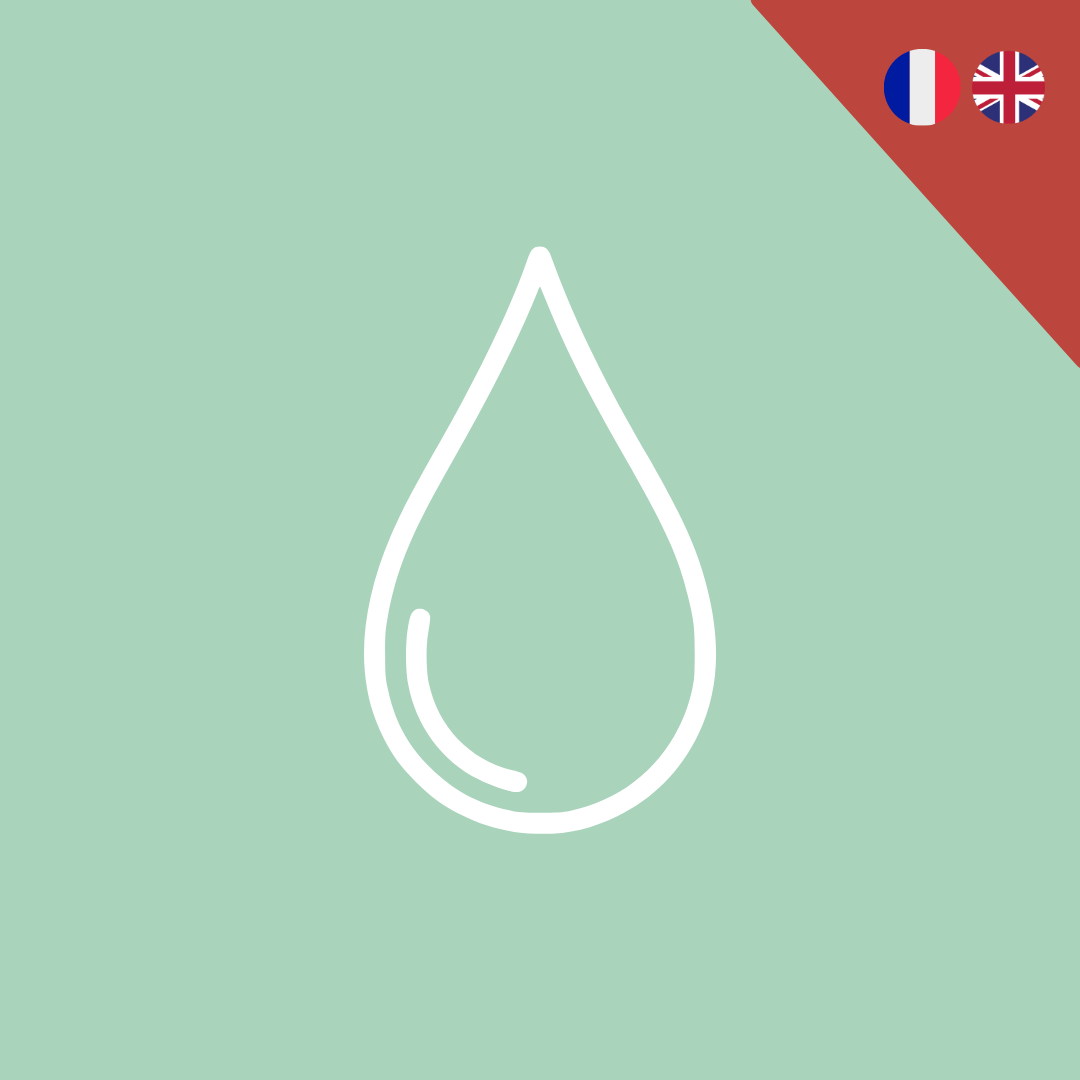 La Fresque de l'eau