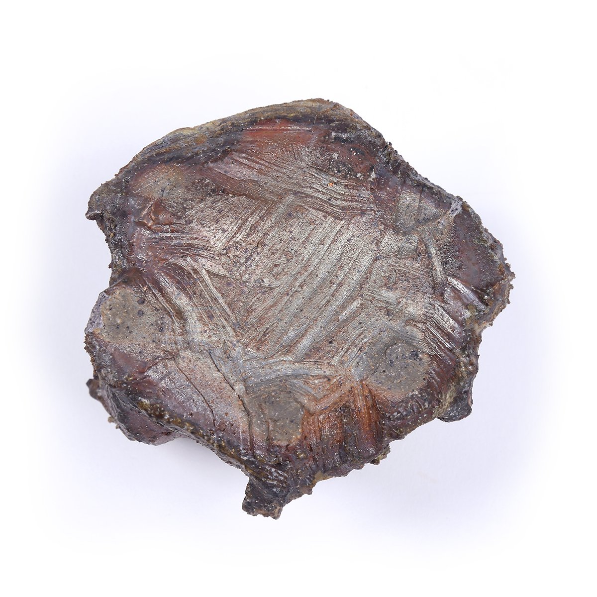 cleave6-base-1200x1200px-72dpi.jpg