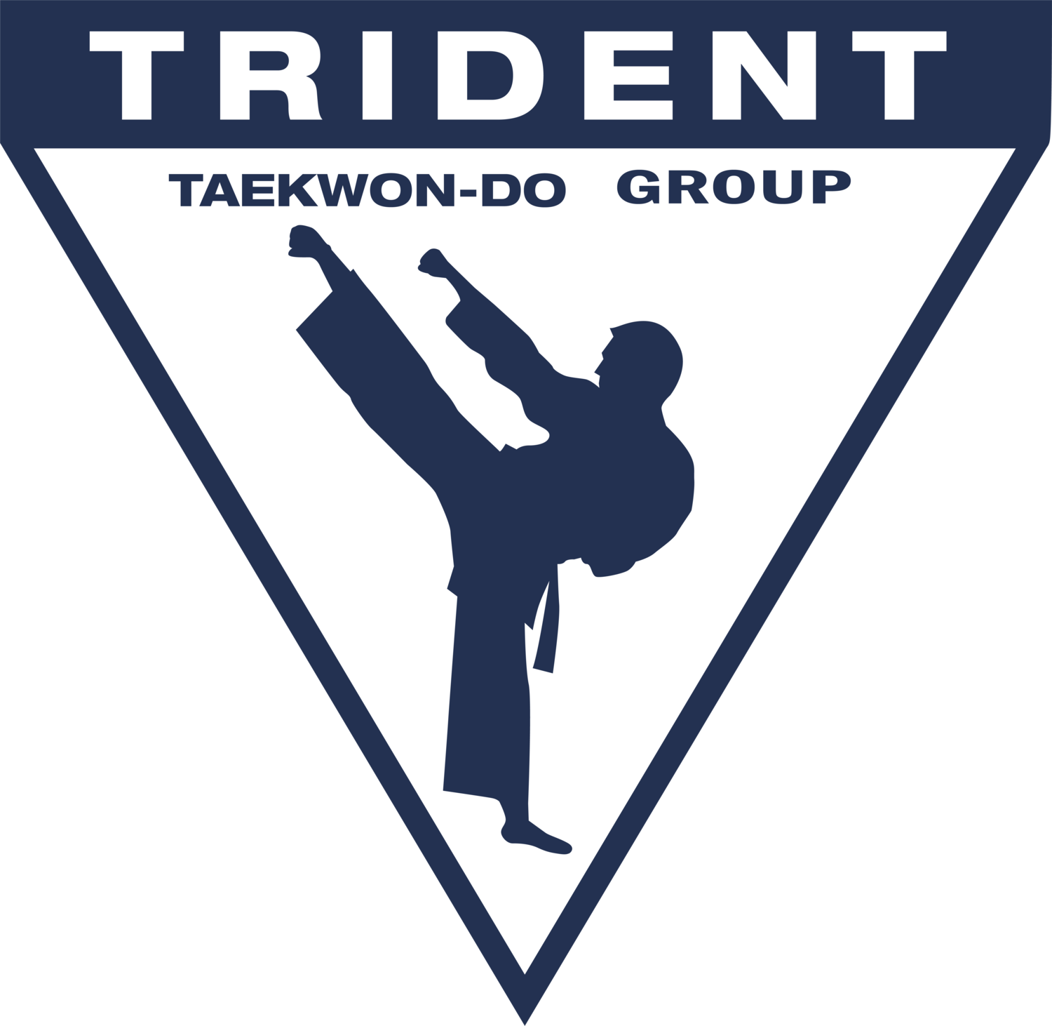 TRIDENT TAEKWON-DO GROUP