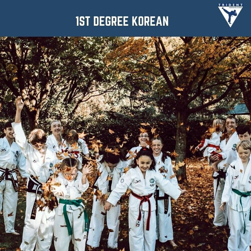 1ST DEGREE KOREAN 