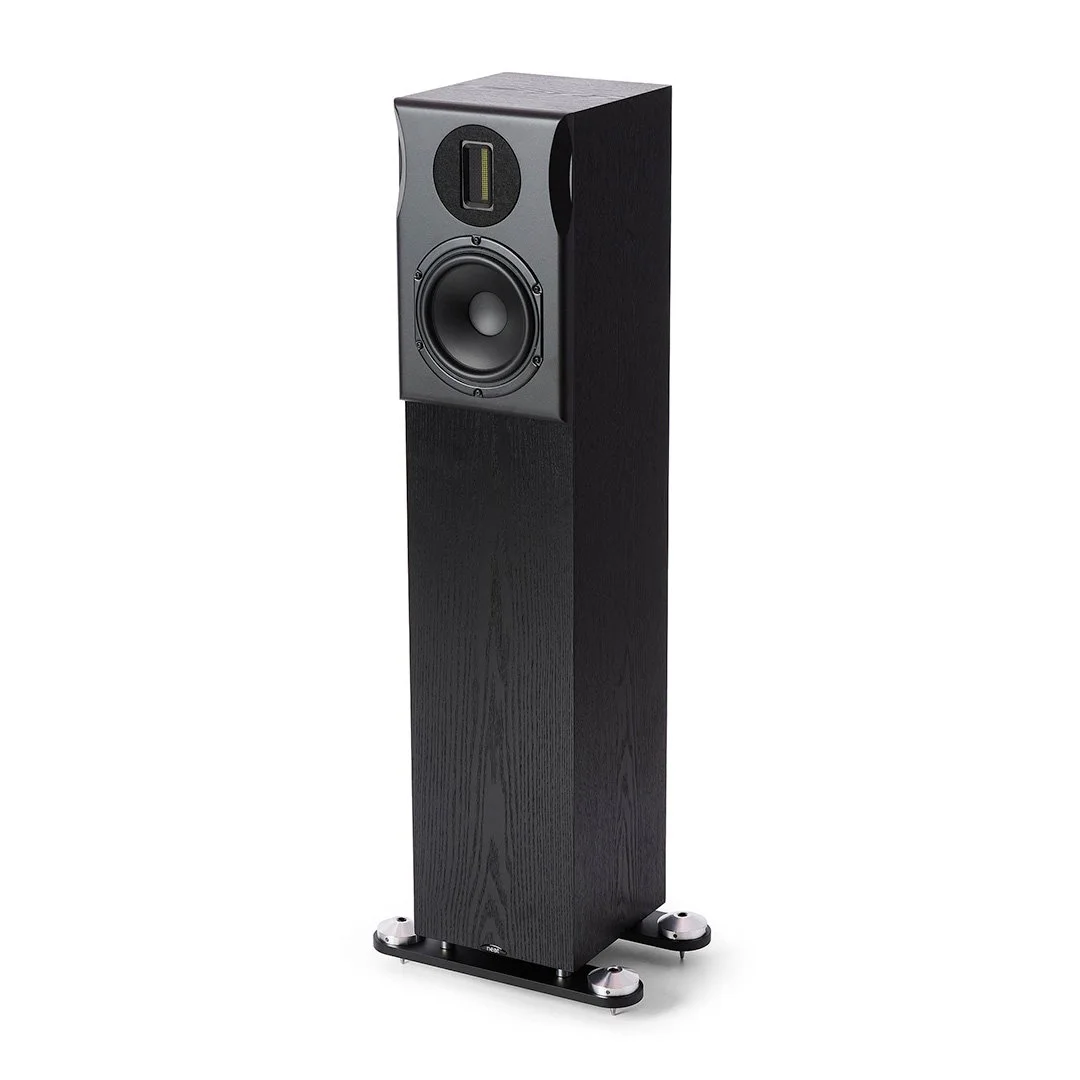 product_neat_orkestra_blackoak_1.jpg