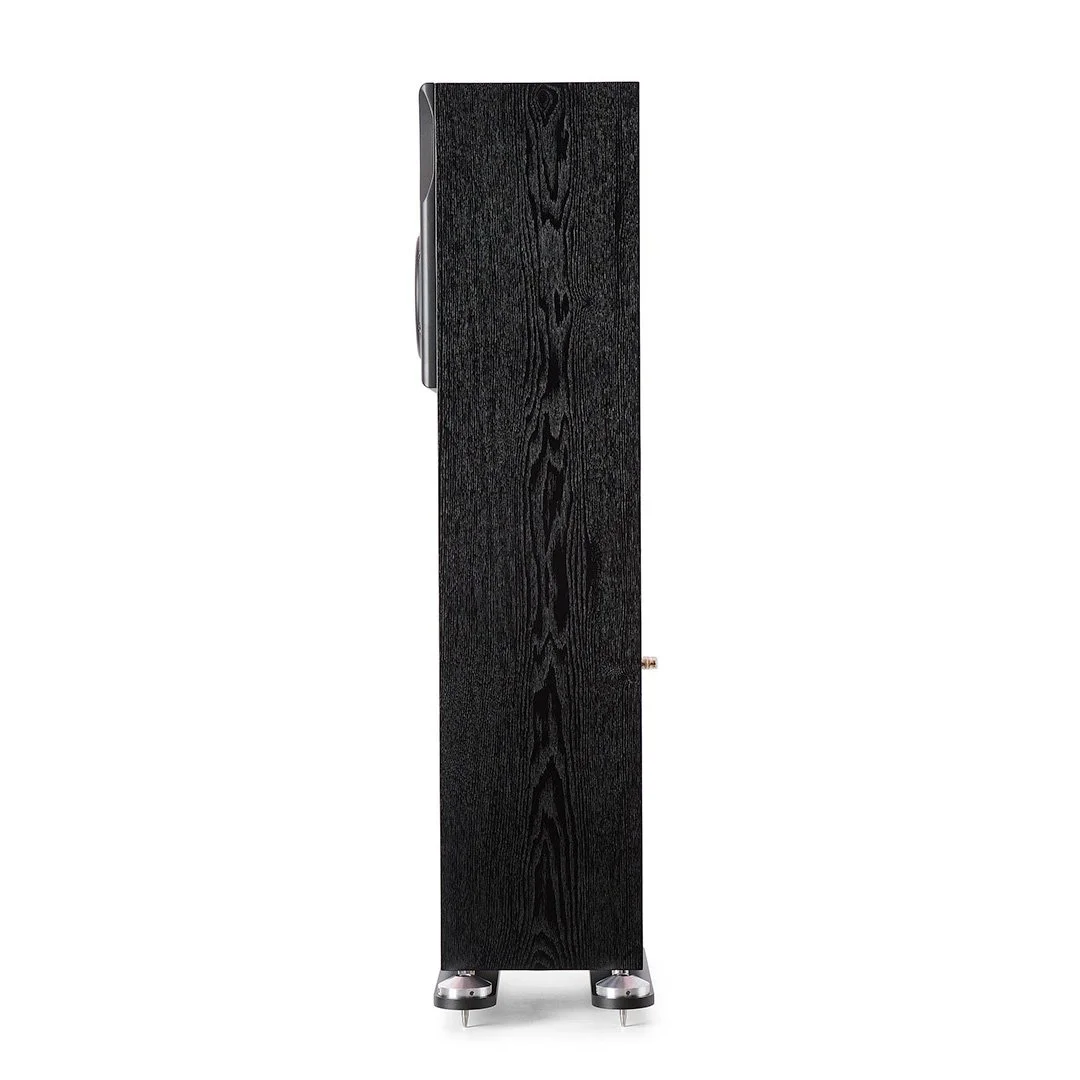 product_neat_orkestra_blackoak_3.jpg