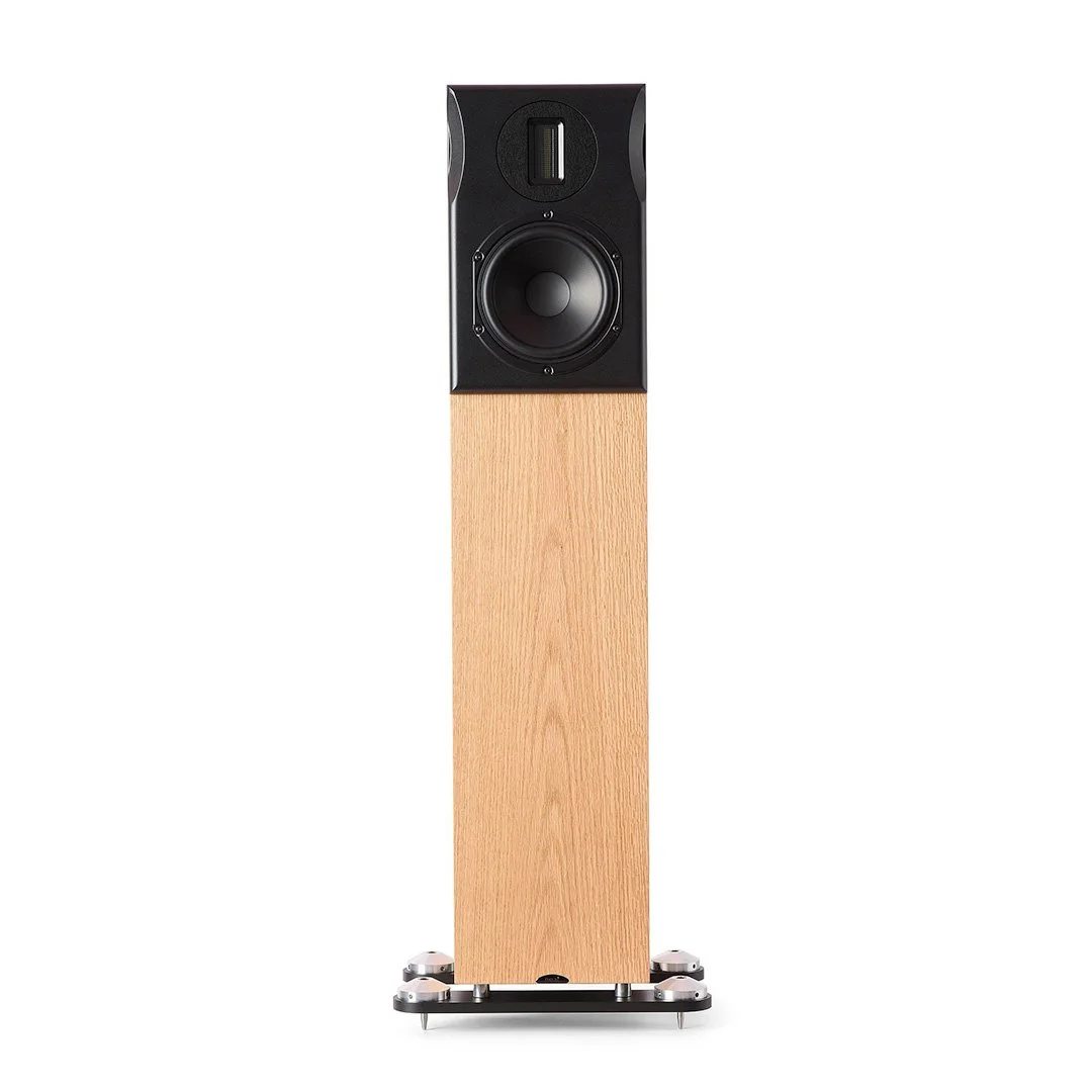 product_neat_orkestra_oak_4_1.jpg