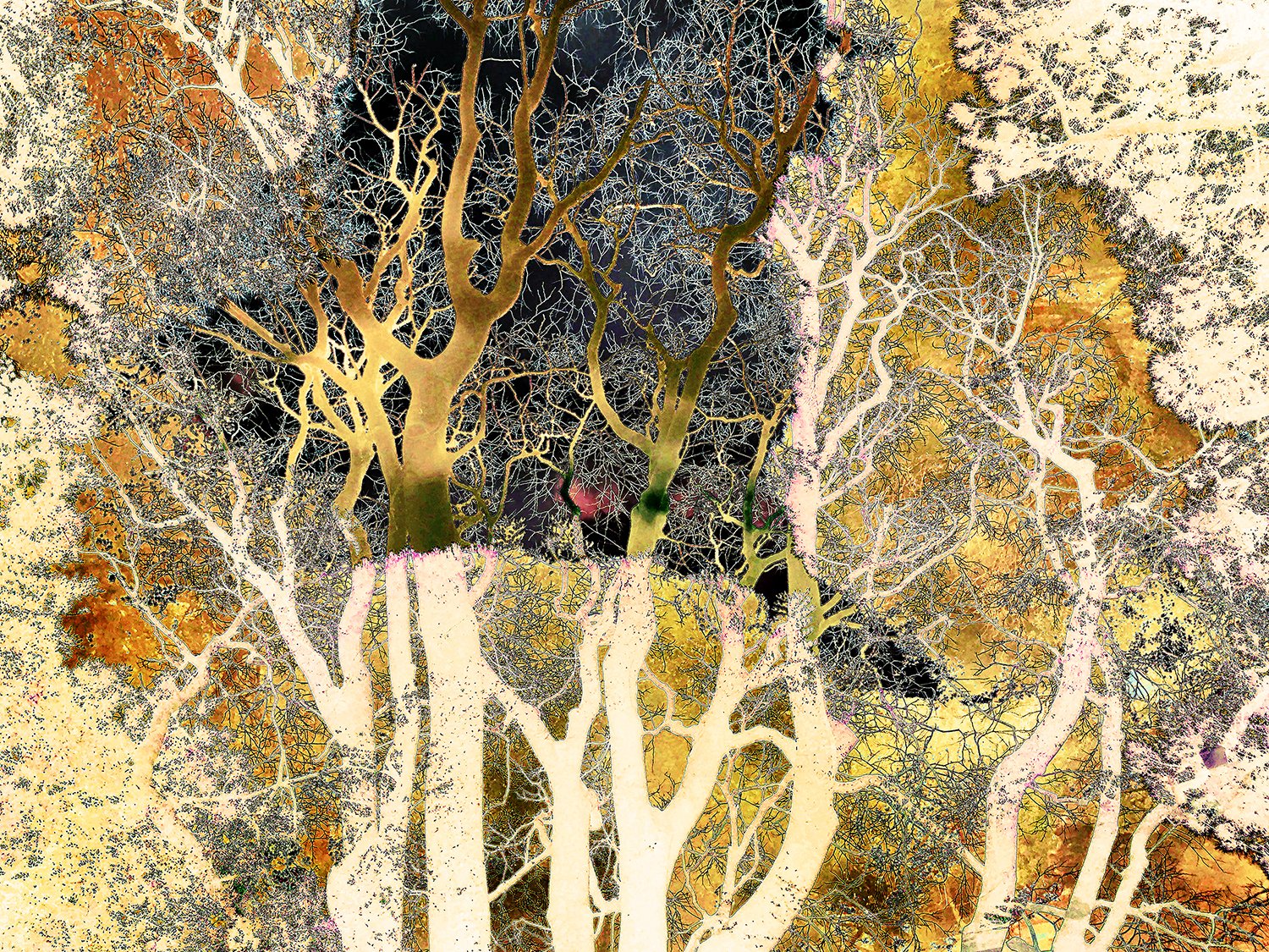 Surreal, luminous gold trees against black sky