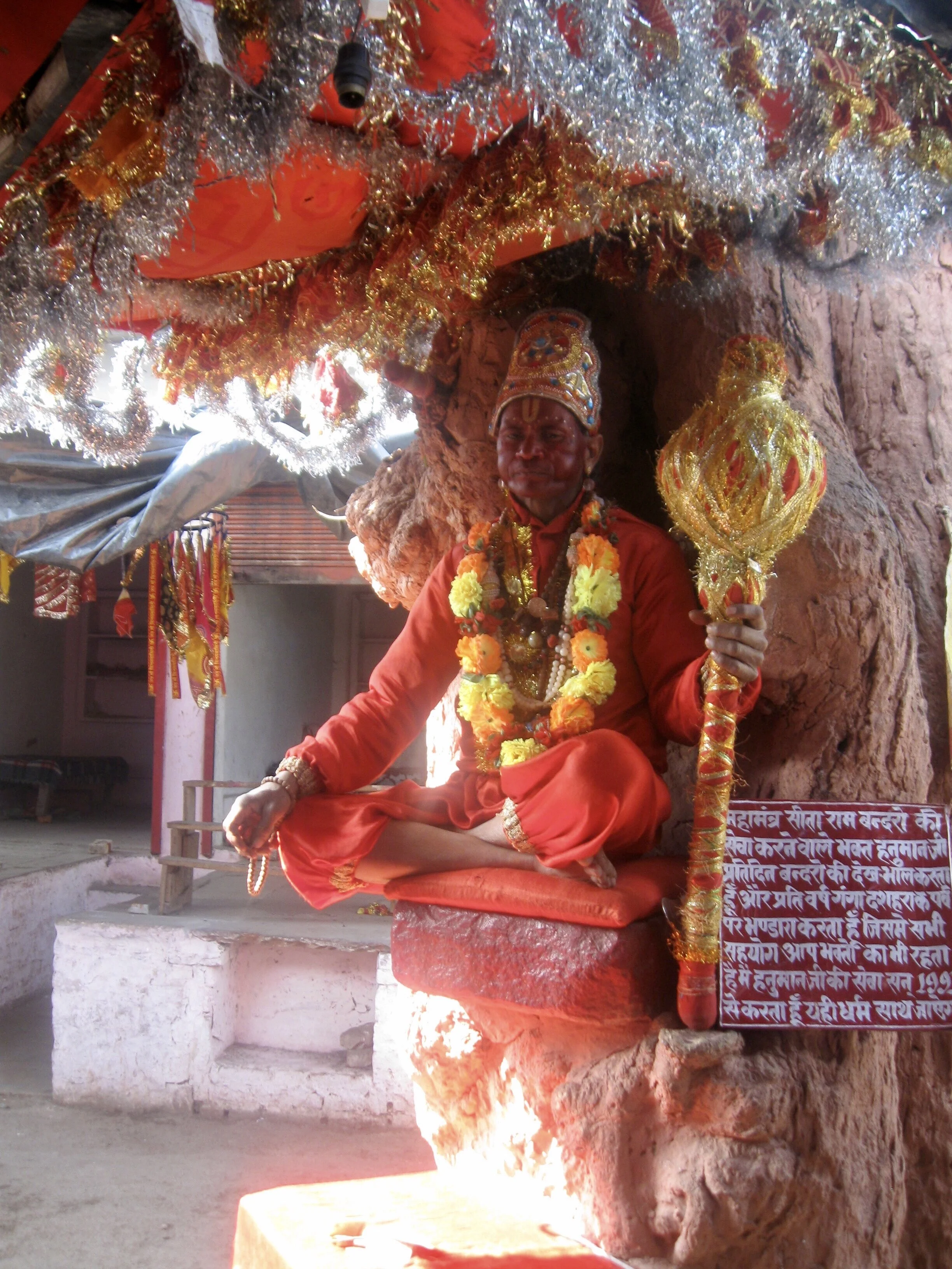 The Monkey Man of Vindhyachal and the Meaning of Life