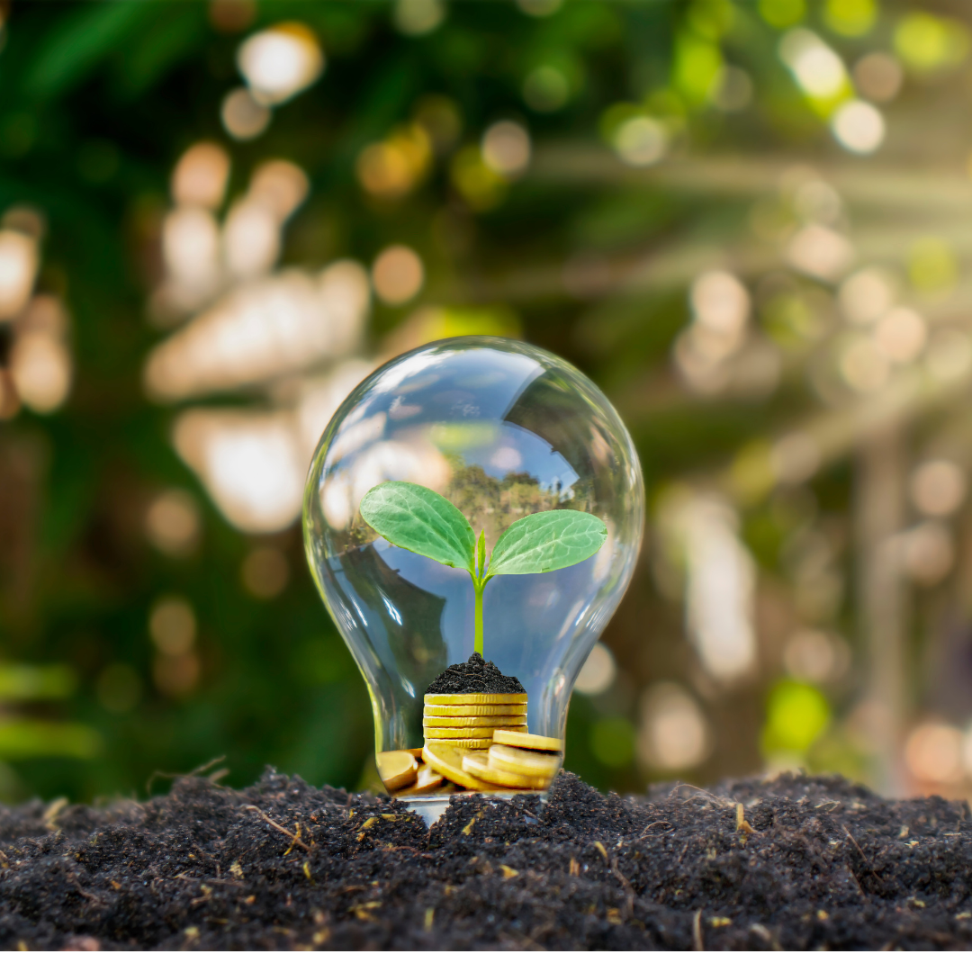 Embracing Your Inner Compass: Navigating Business Challenges Through Values-Based Leadership
