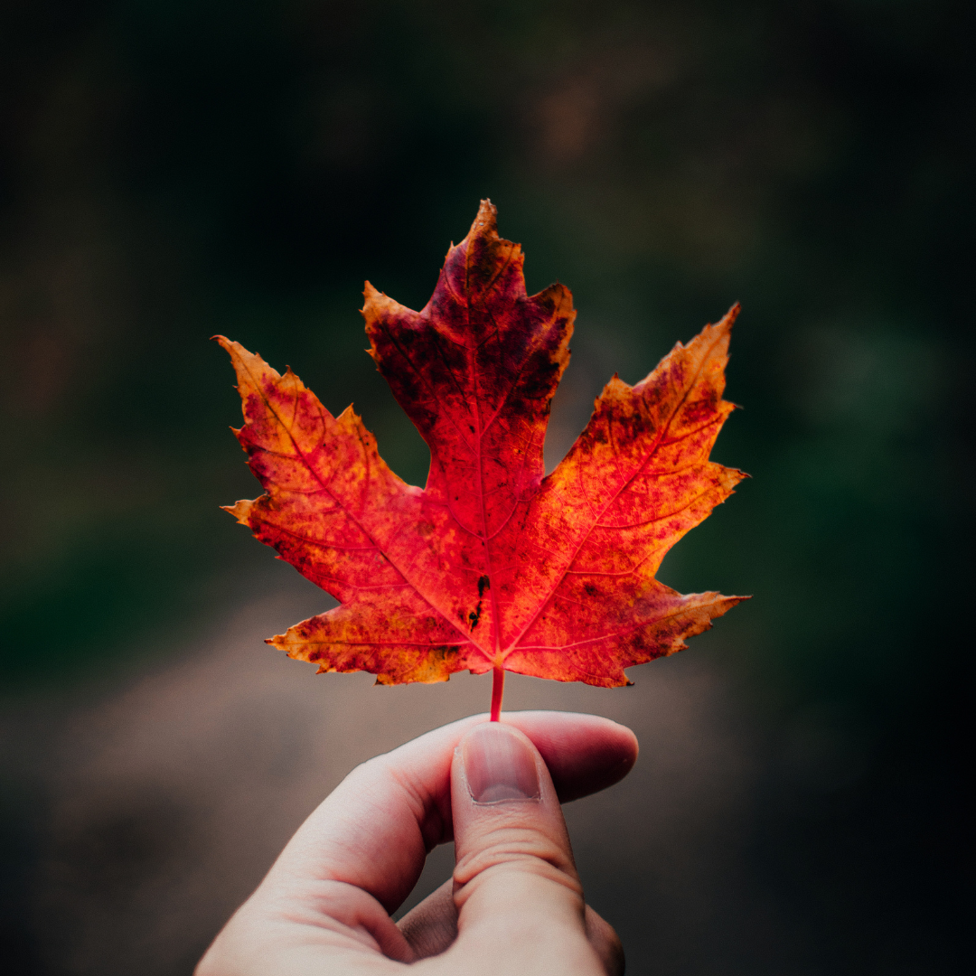 Values-Based Entrepreneurship: Rebuilding Canadian Main Streets