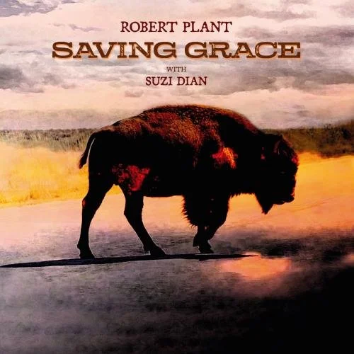 vg6az5-savinggrac-preview-m3_500x500.jpg