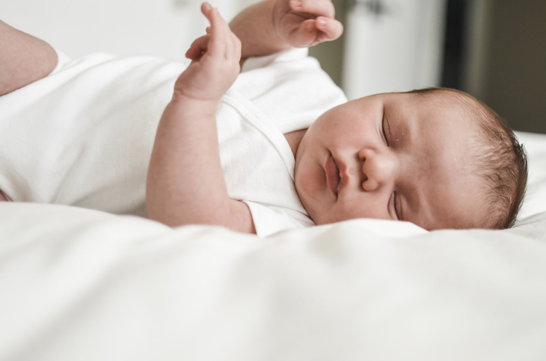 Screen Shot 2020-08-04 at 6.41.03 AM.png