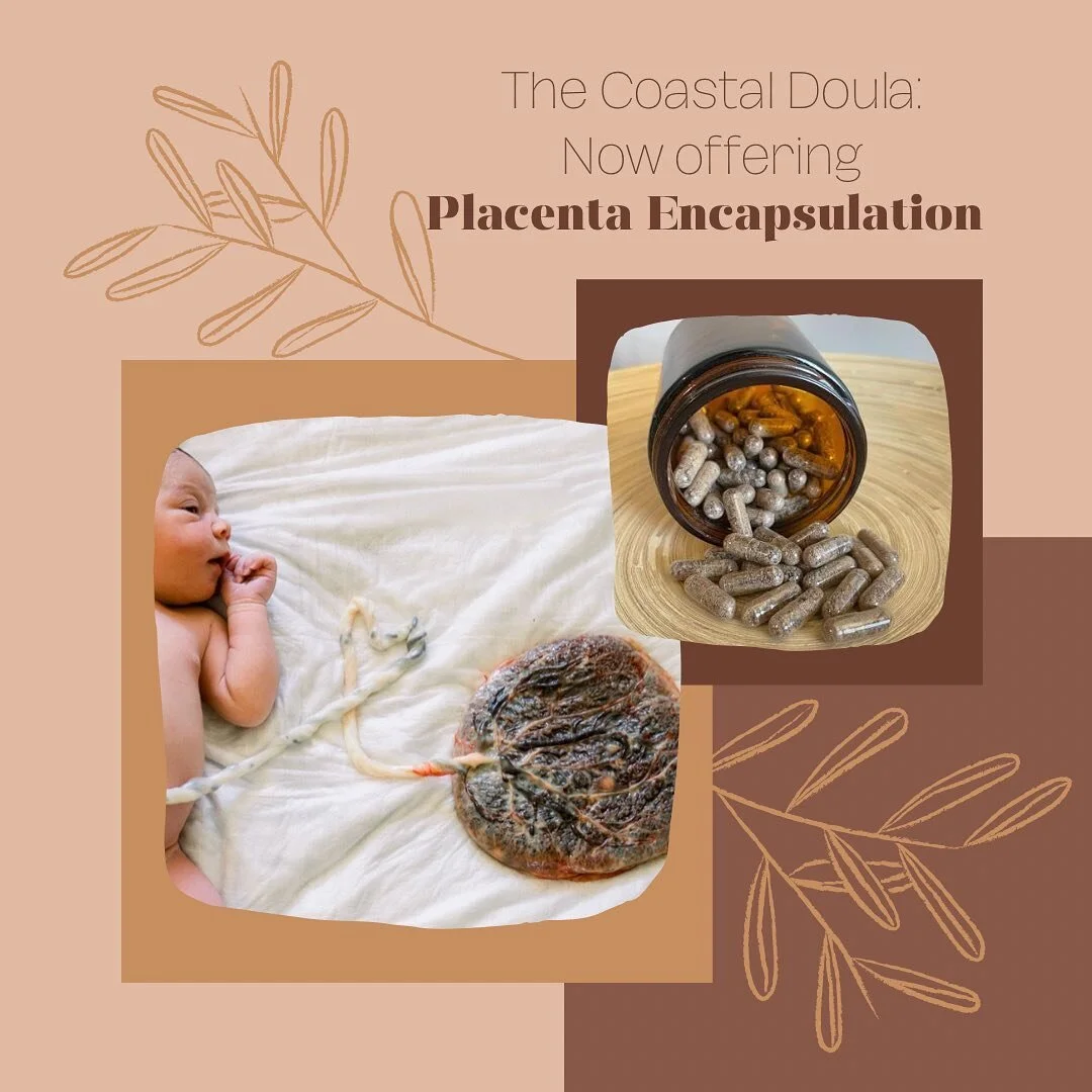 I&rsquo;m excited to share that I&rsquo;m now offering placenta encapsulation. It&rsquo;s something I&rsquo;ve been looking forward to for a very long time!!