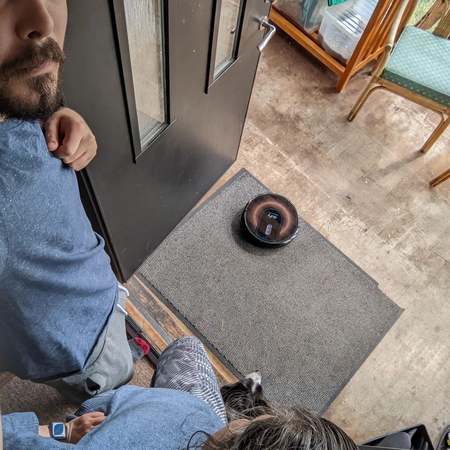 We now have a robo-vacuum (who we've named Jeeves, ofc), here is the whole household eagerly watching it do it's thing, defeating the point of automation....