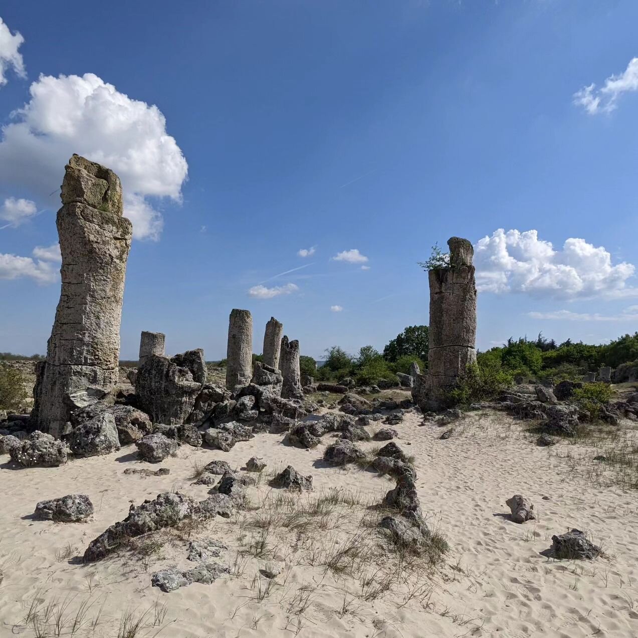 All rock, no roll 🤘

Only one of these is said to look like a &quot;fertility symbol&quot; - I feel like  there are a couple of competitors for that though.

A visit to The Stone Forest - a mini desert with these natural stone columns found outside 