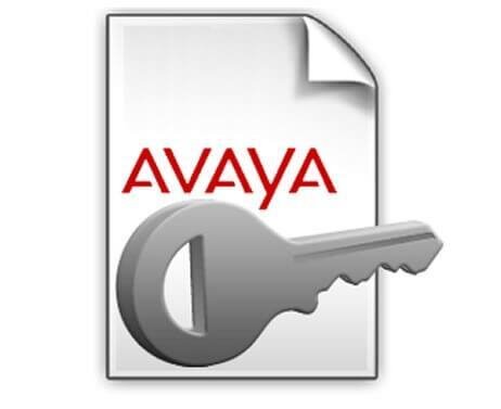 Avaya SoftConsole 1 RFA.jpg