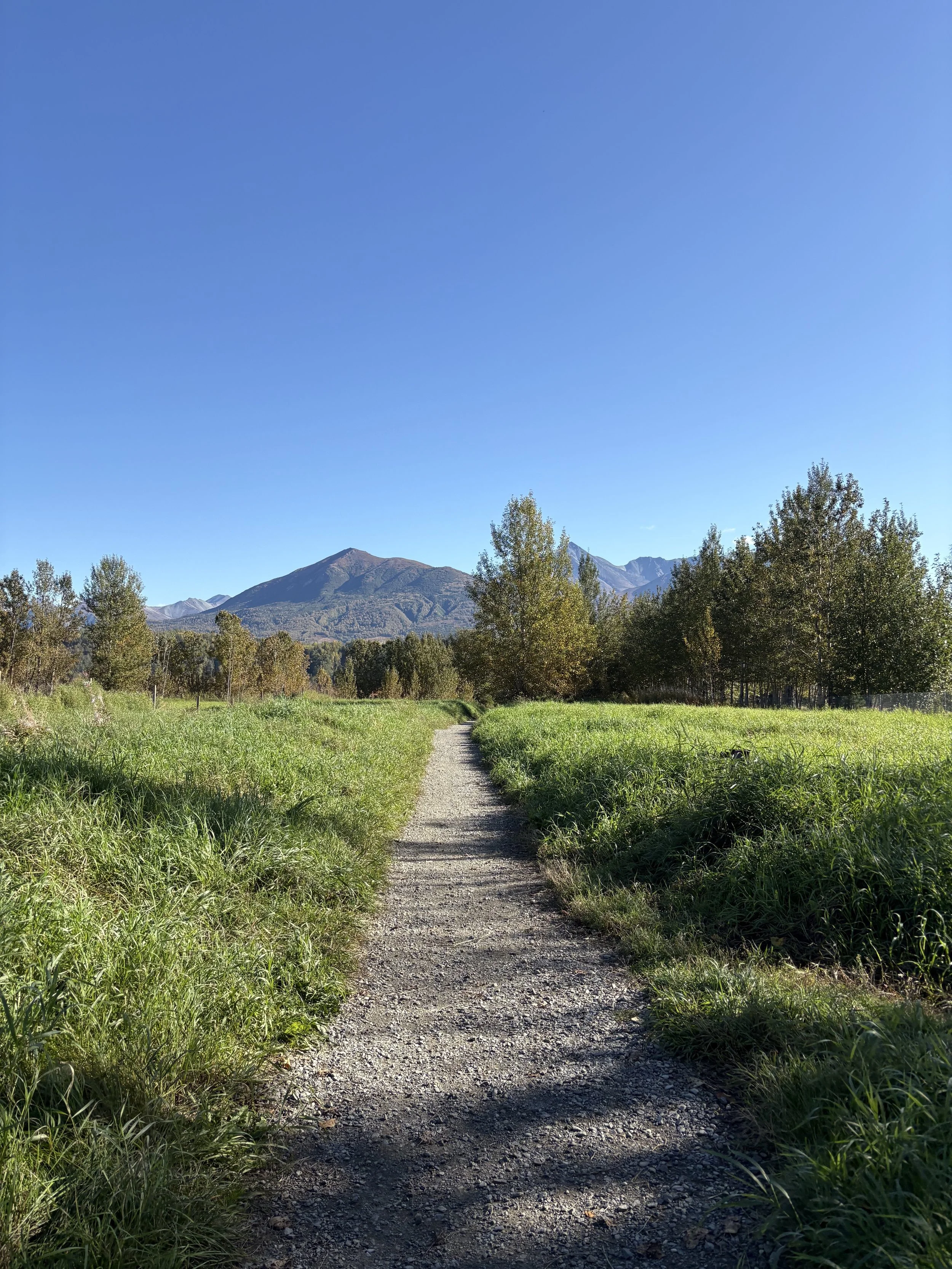IMG_7055.jpeg
