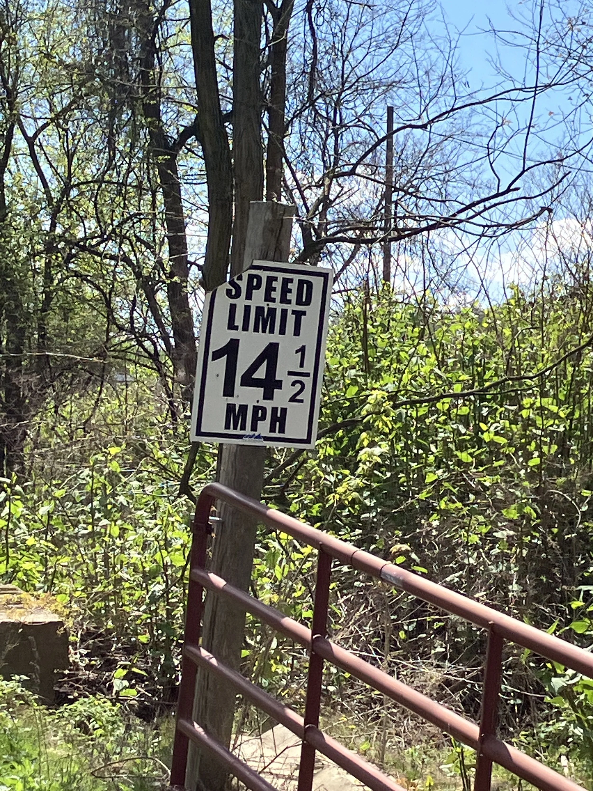 IMG_6321.jpeg