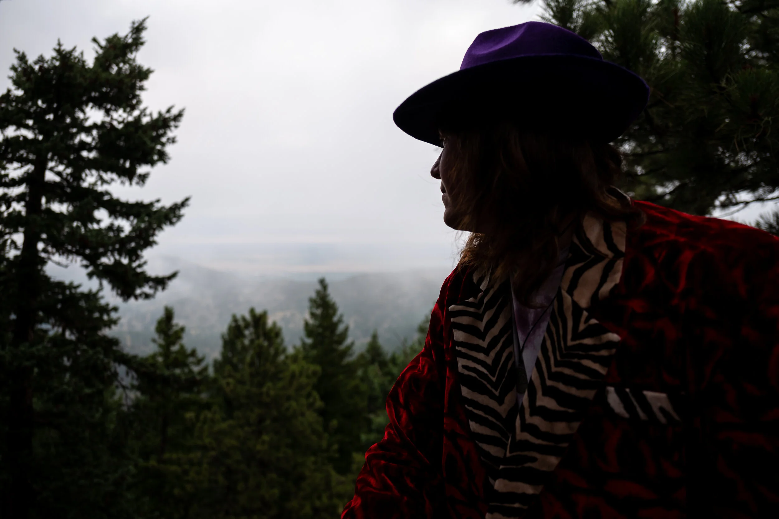 Silhouette of a woman wearing a purple hat and red and black patterned jacket, surrounded by tall green trees, with a foggy or cloudy sky in the background.