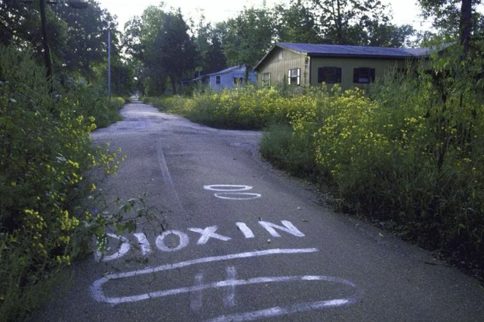T beach dioxin  .PNG