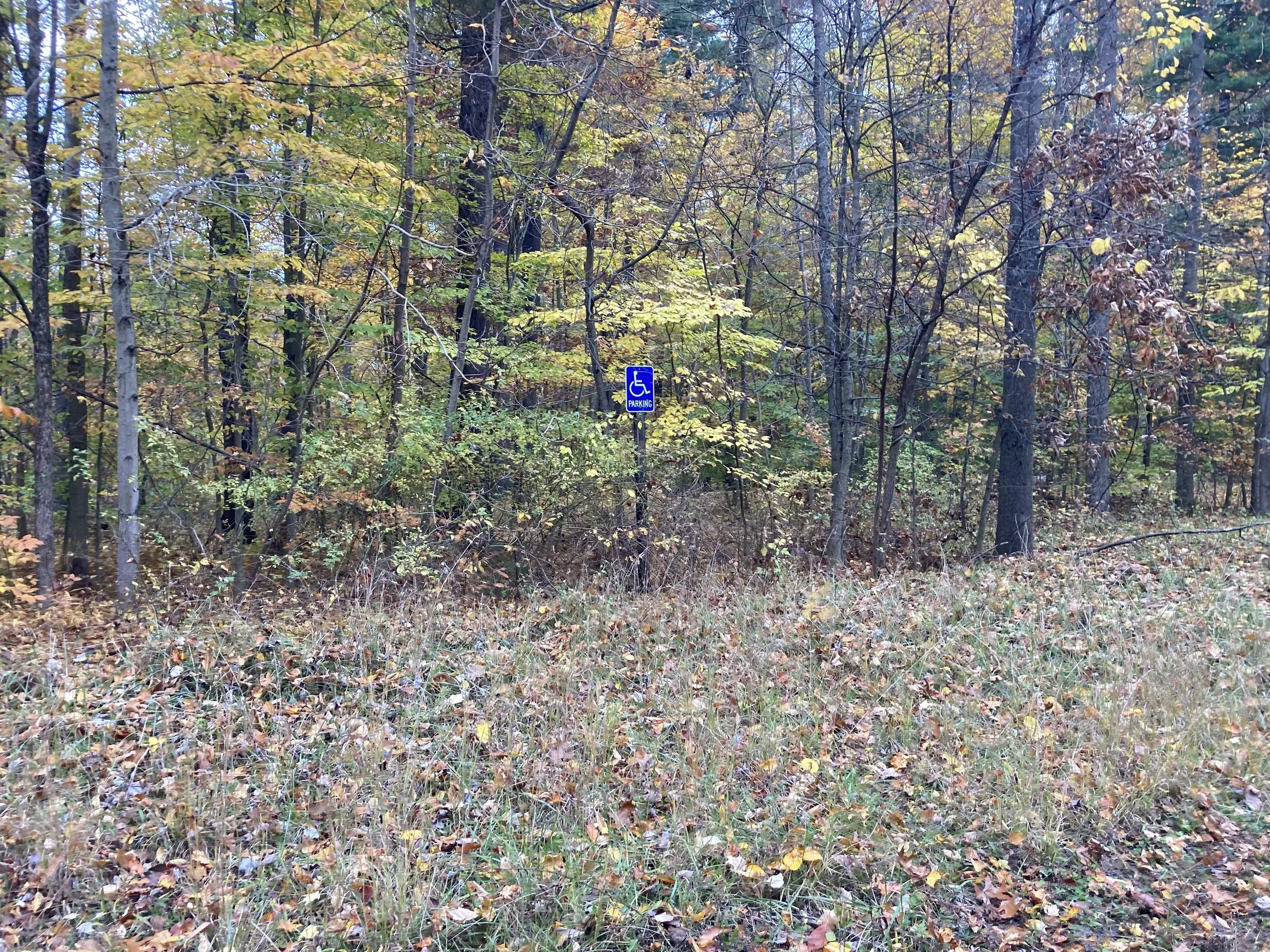 IMG_1929.jpeg