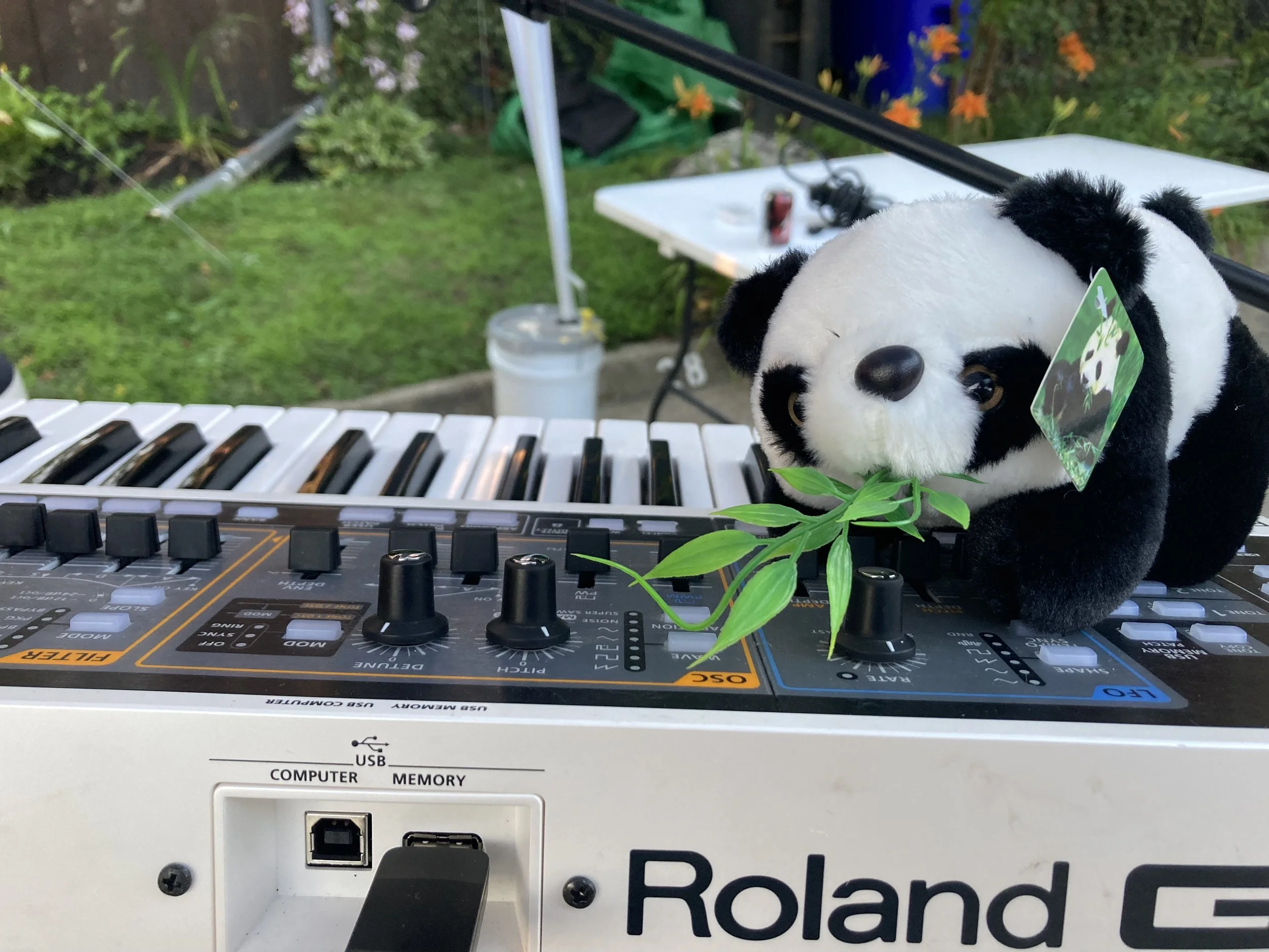 A stuffed panda bear playing a musical keyboard, holding a green leafy branch in its mouth.