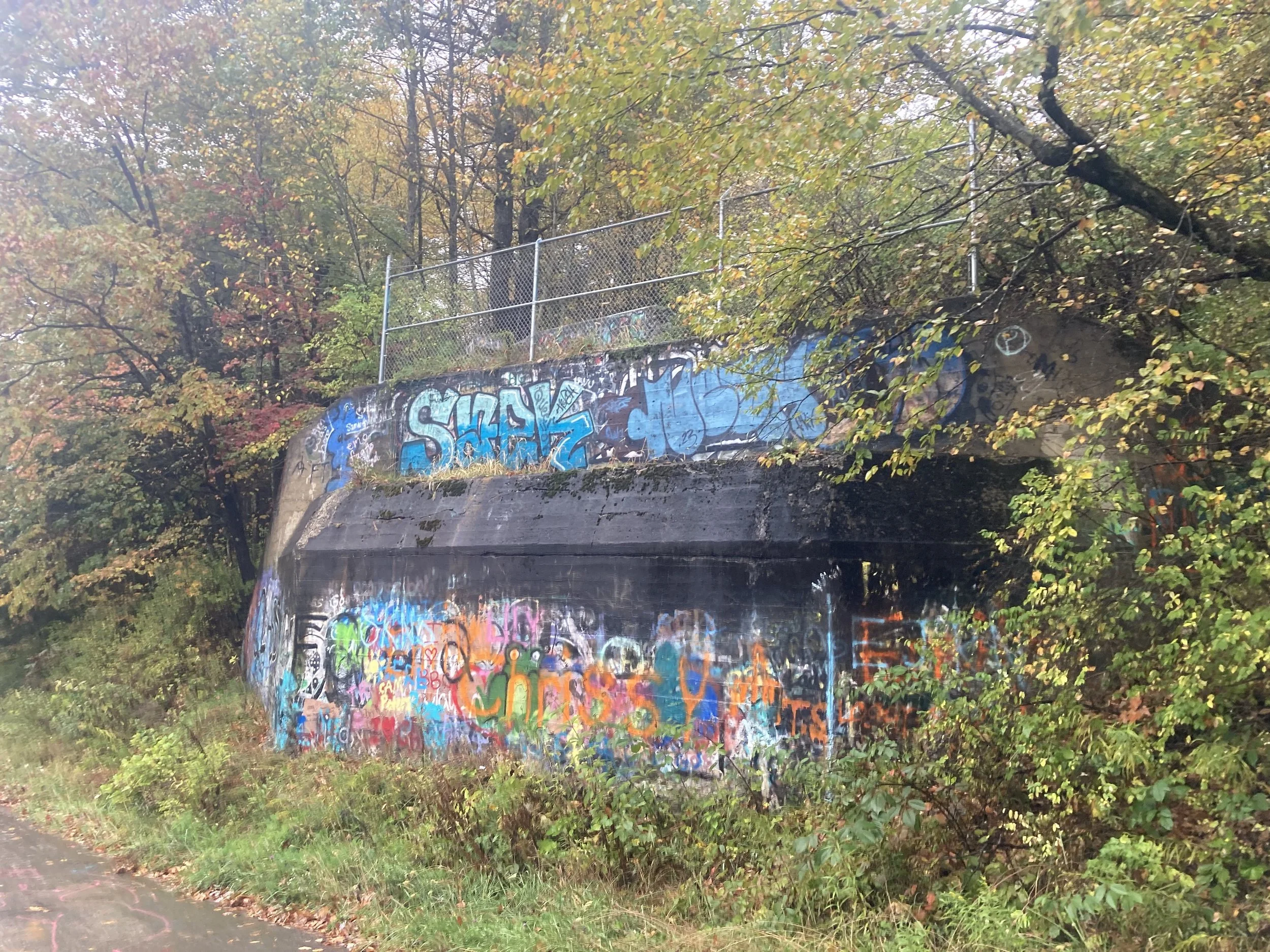 IMG_1526.jpeg