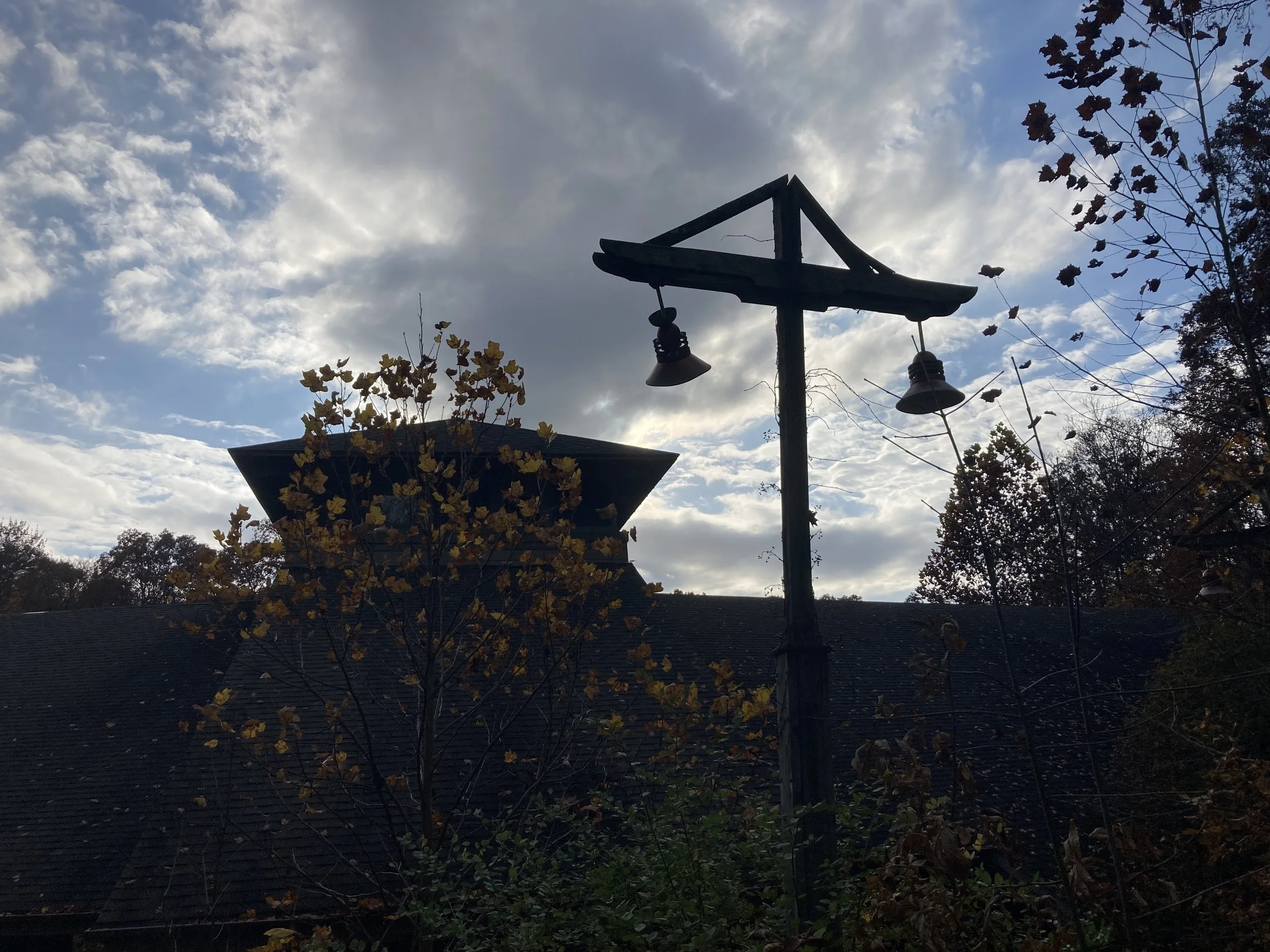 IMG_1986.jpeg