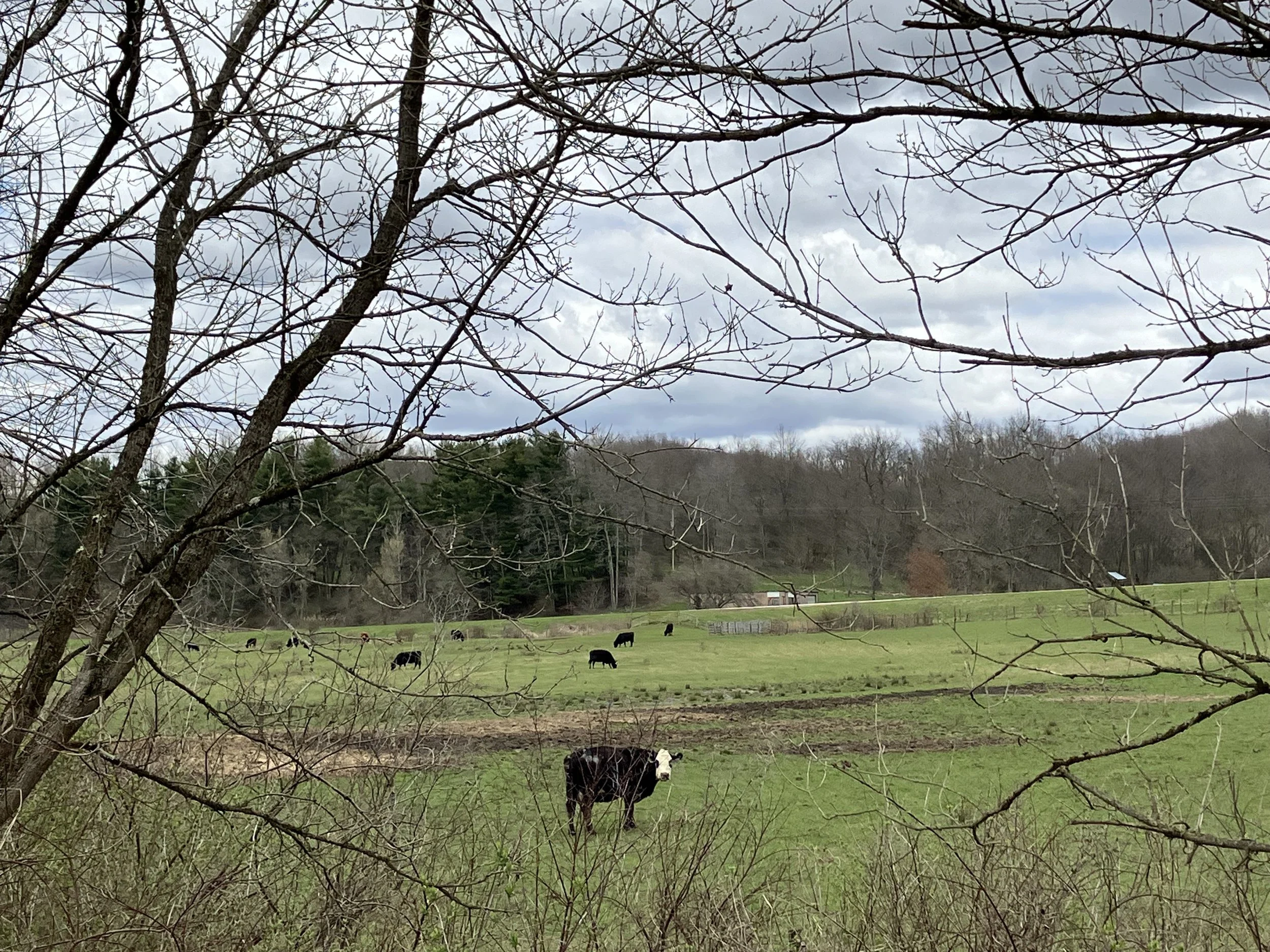 IMG_5842.jpeg