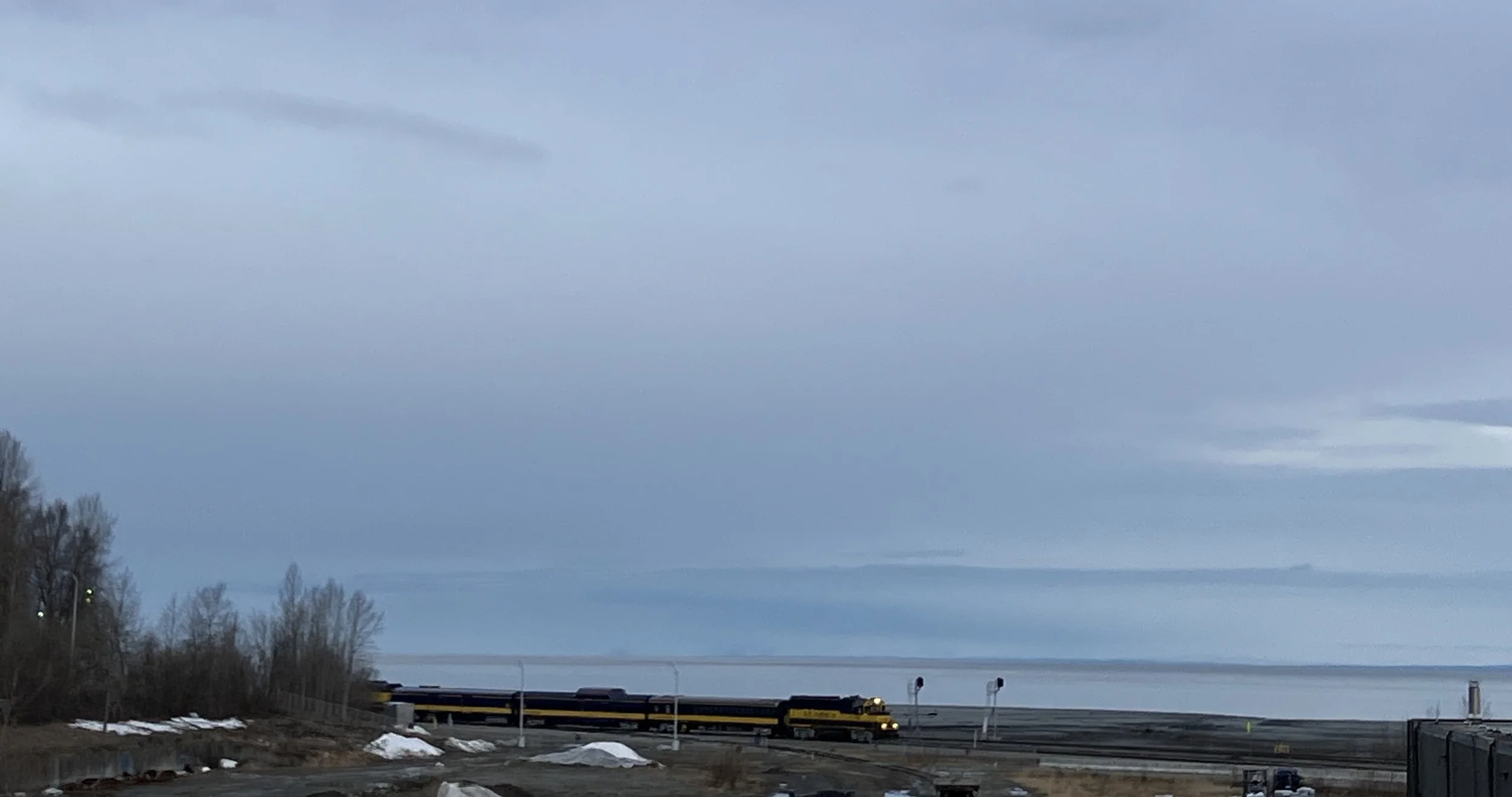 IMG_6516.jpeg