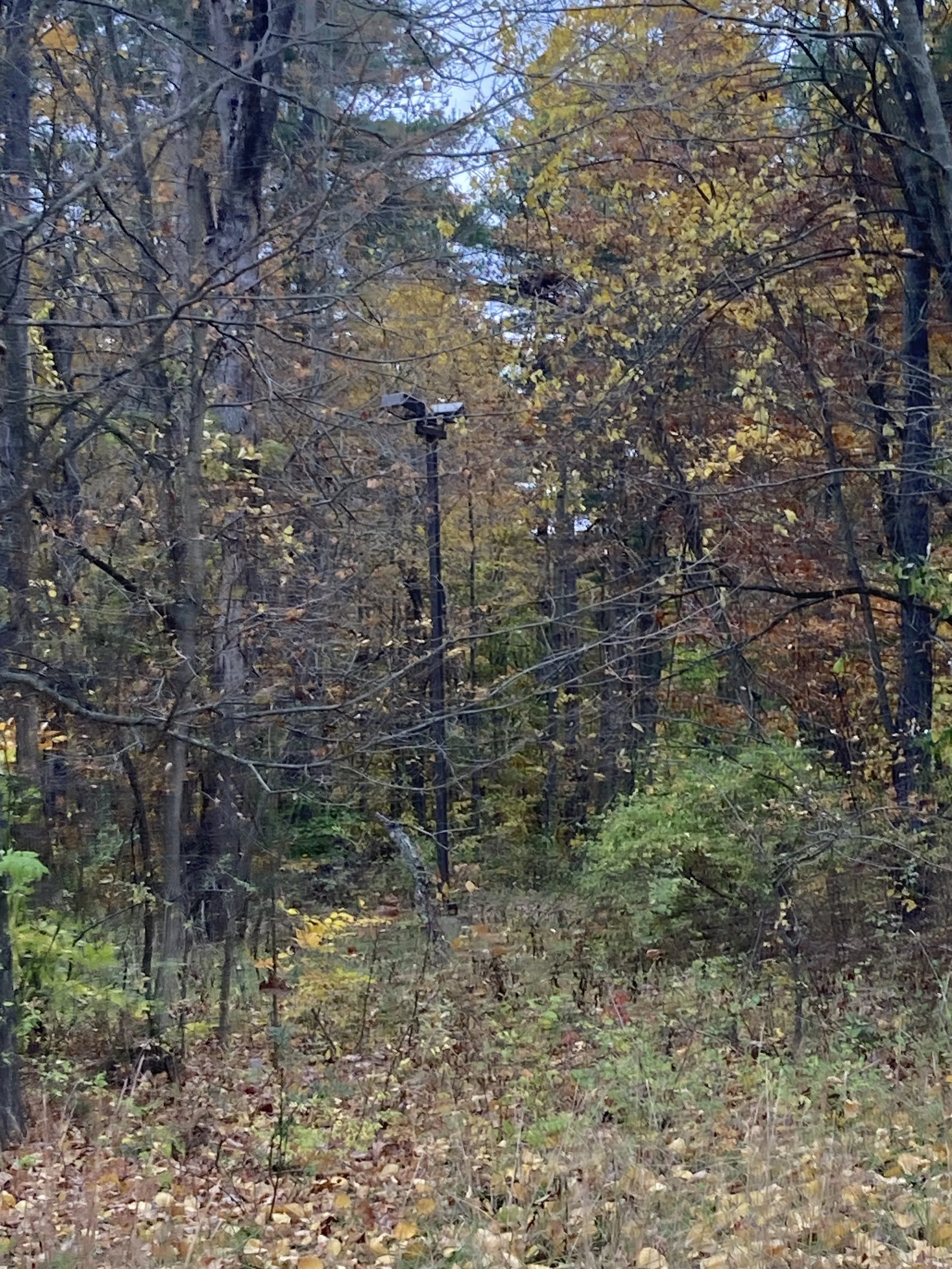 IMG_1926.jpeg