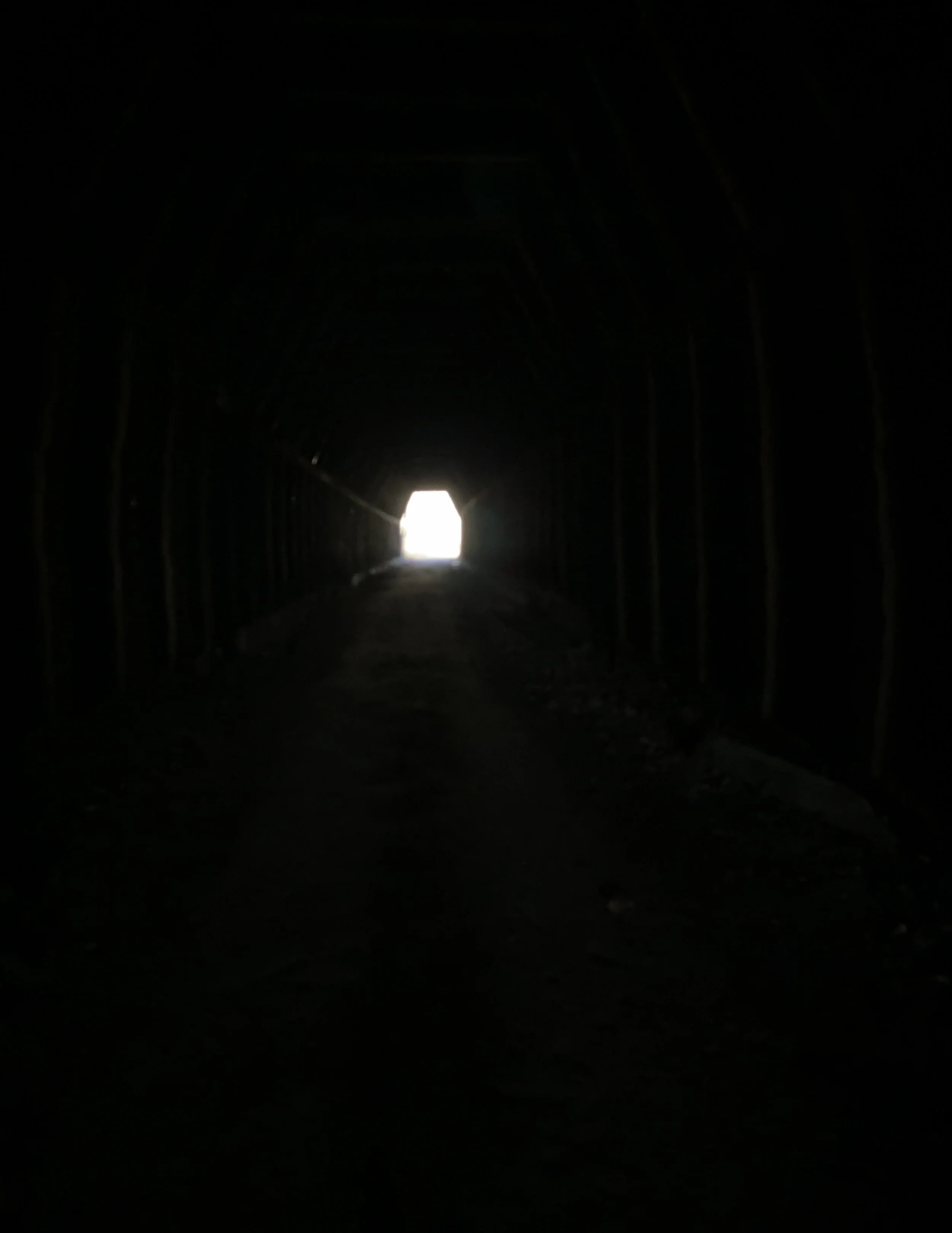 IMG_2877.jpeg