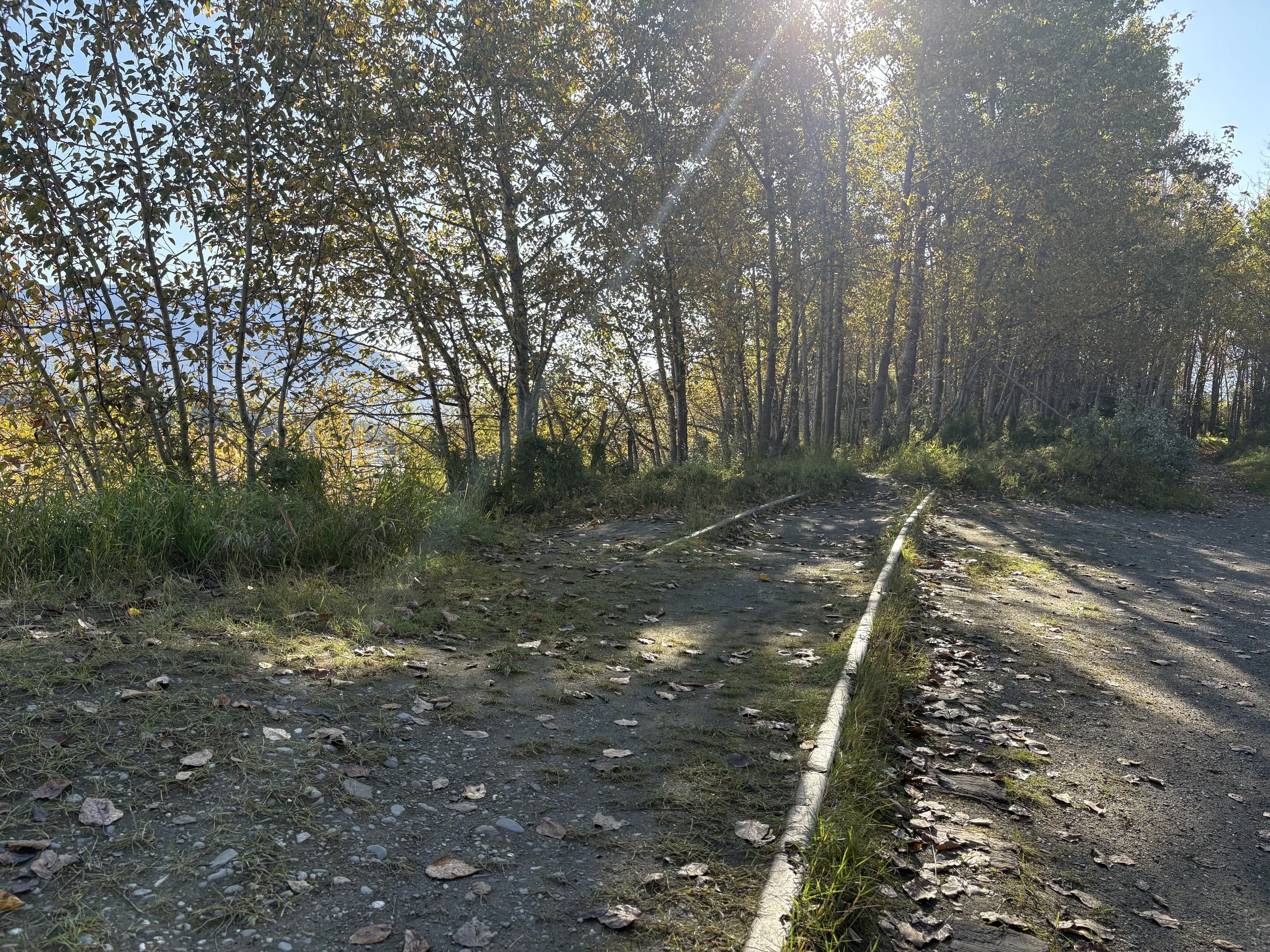 IMG_7034.jpeg